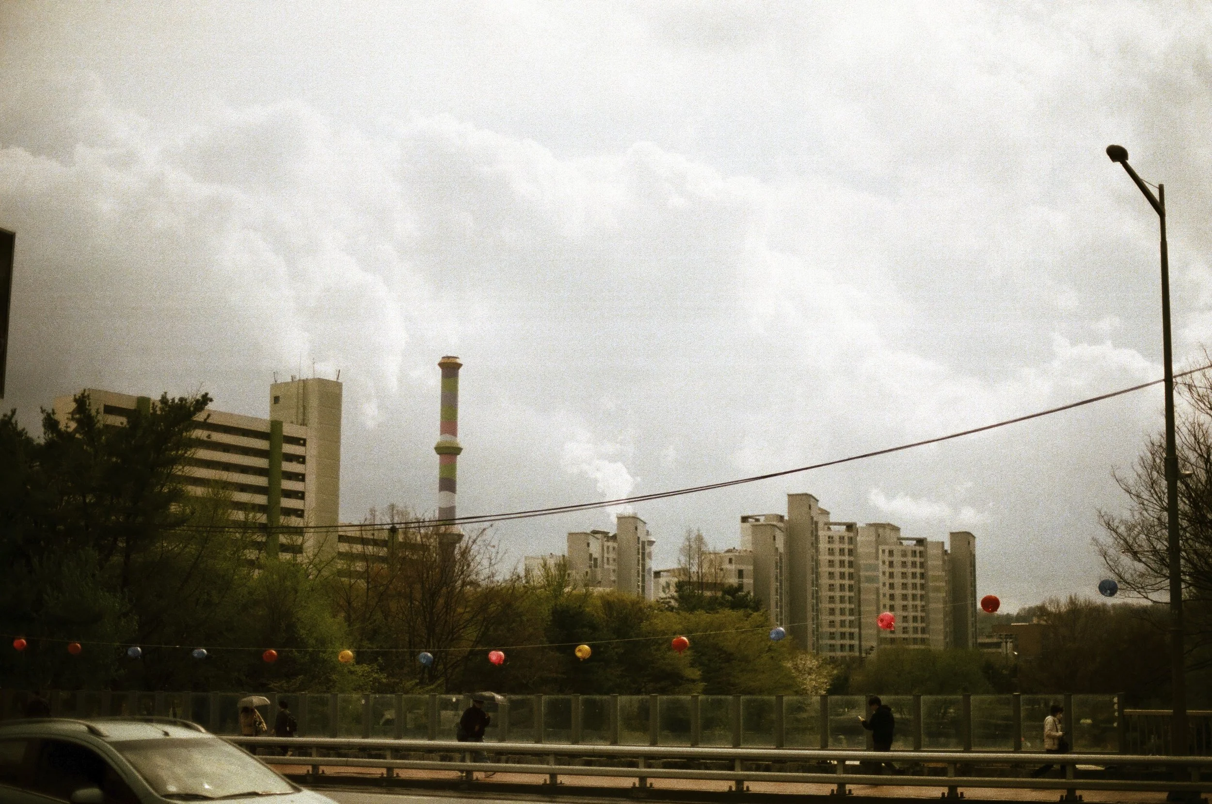 Expired Fuji 100 (shot at 25)