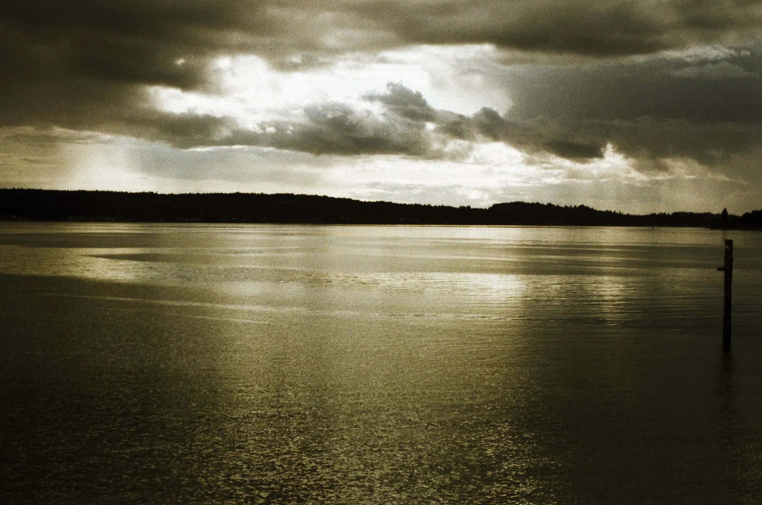 Expired Fuji 100 (shot at 25) pushed 1 stop