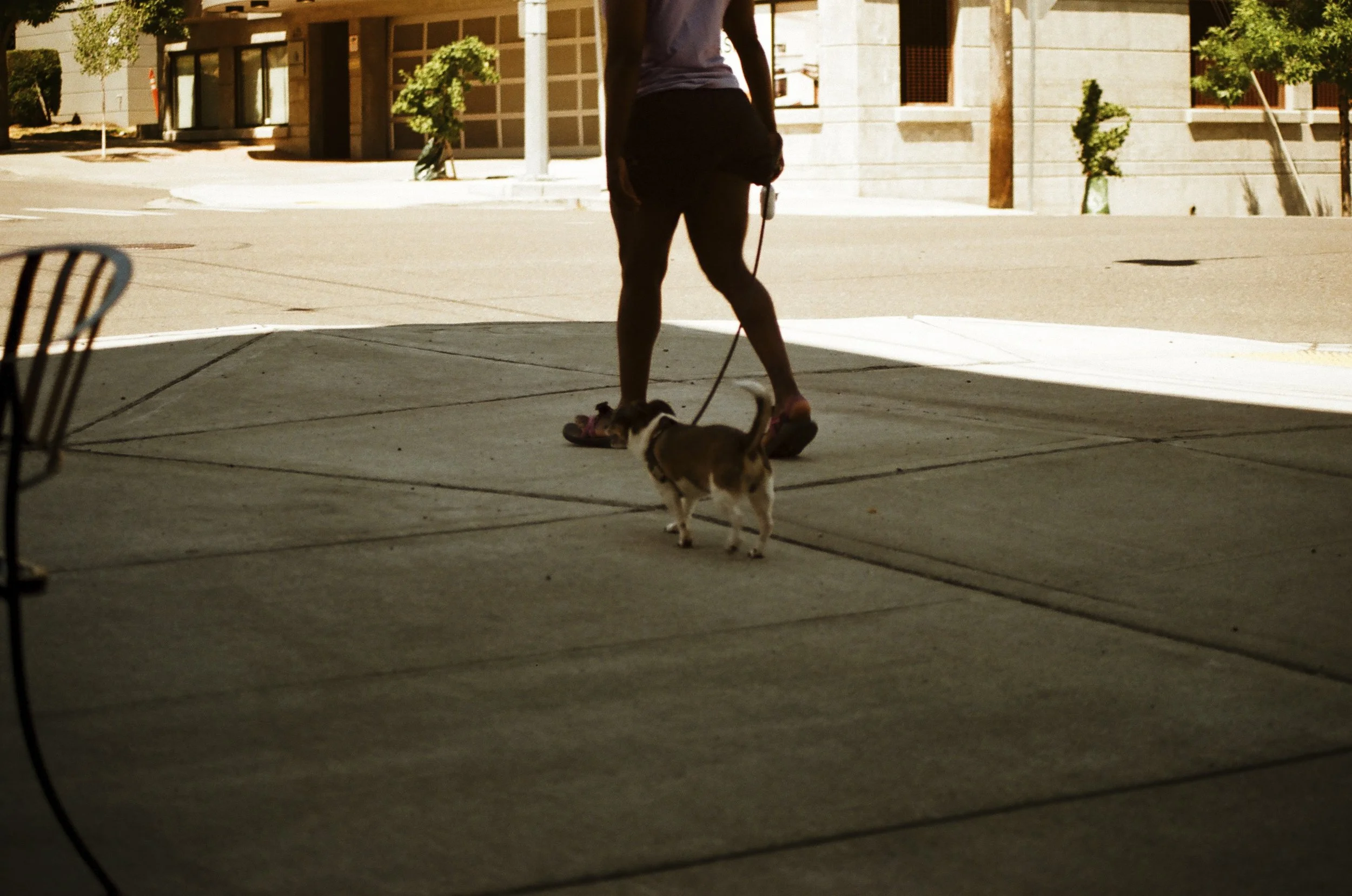 Expired Fuji 100 (shot at 25) 