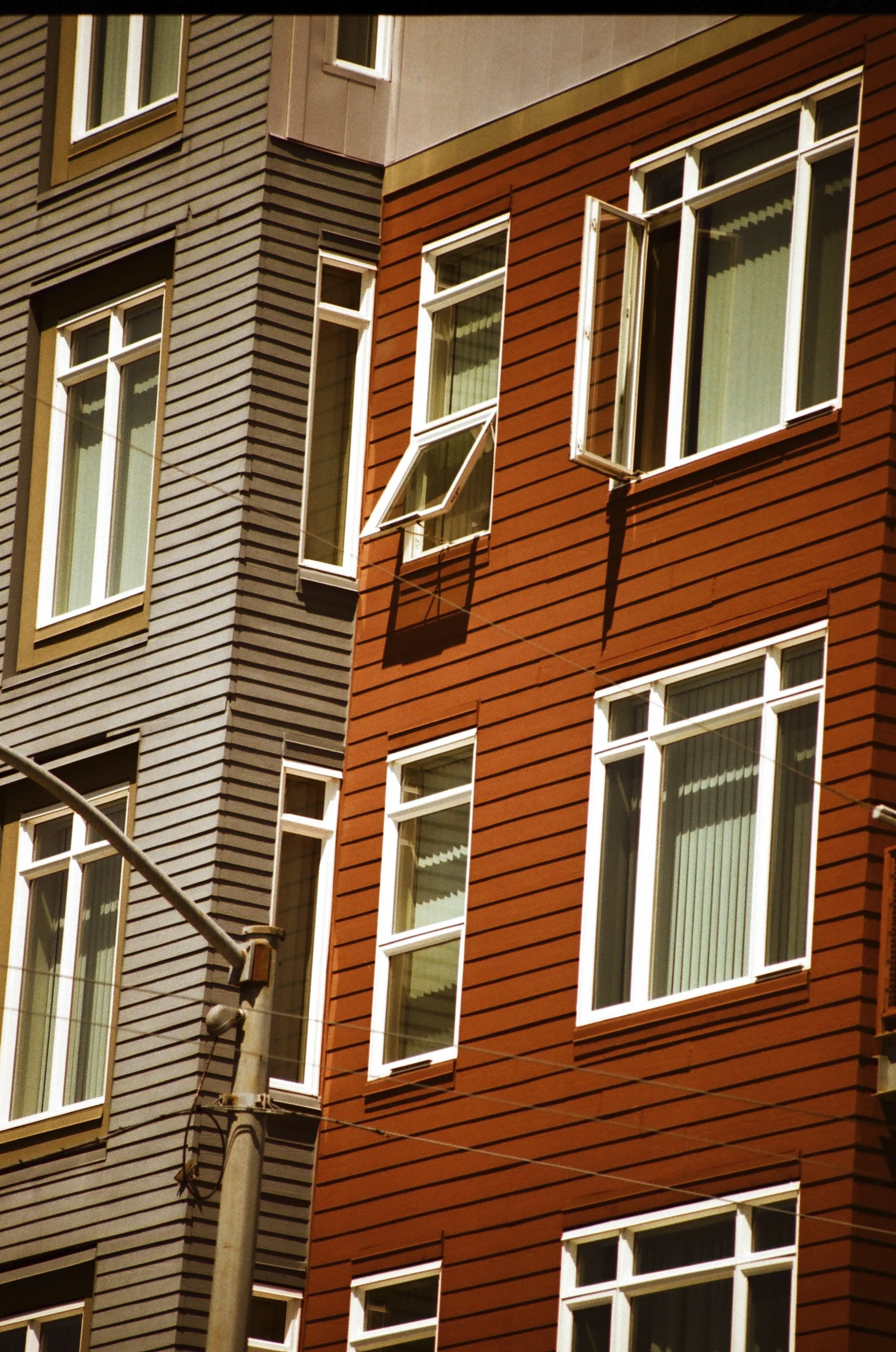 Expired Fuji 100 (shot at 25) 