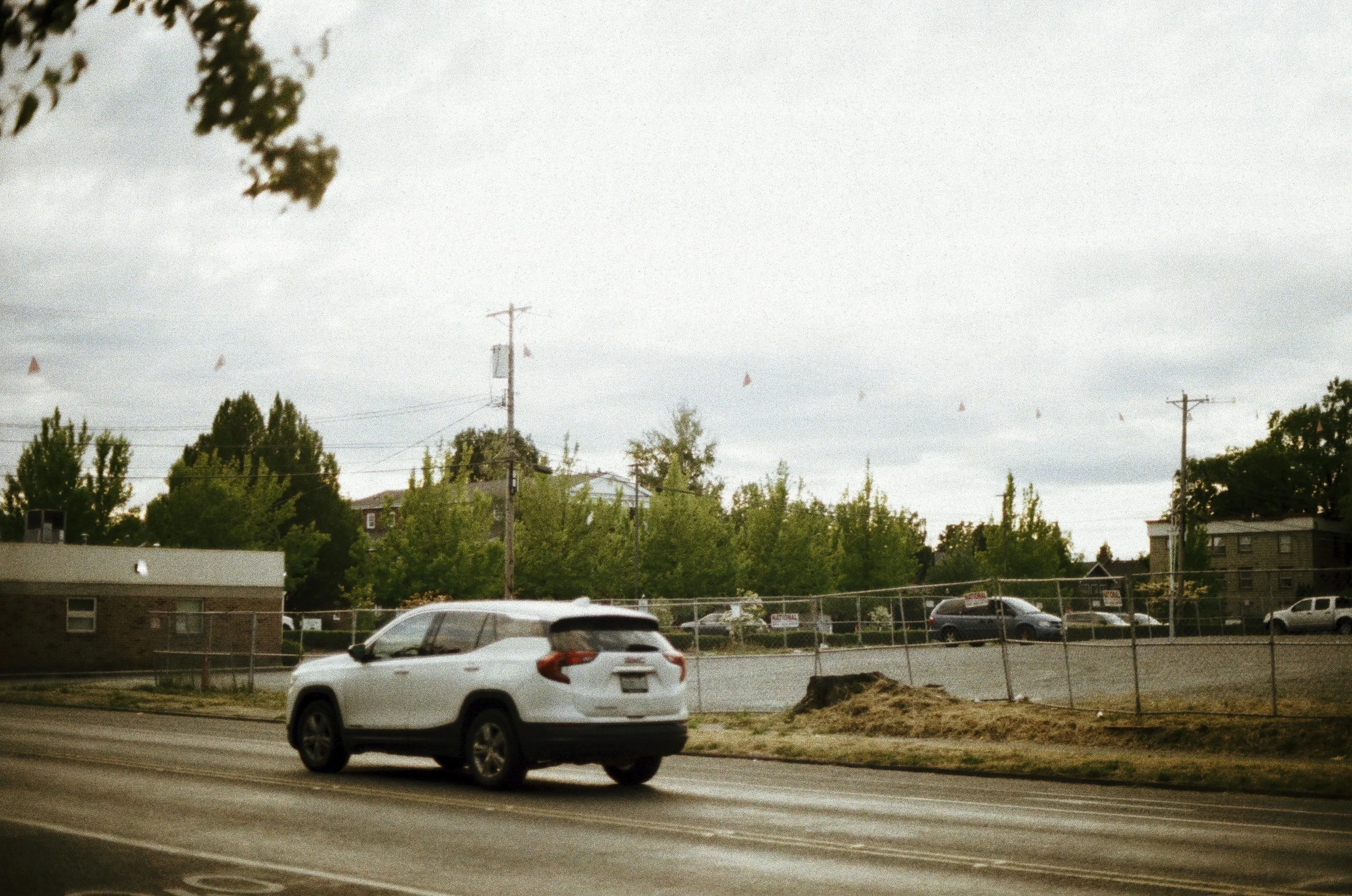 Expired Fuji 100 (shot at 25) pushed 1 stop