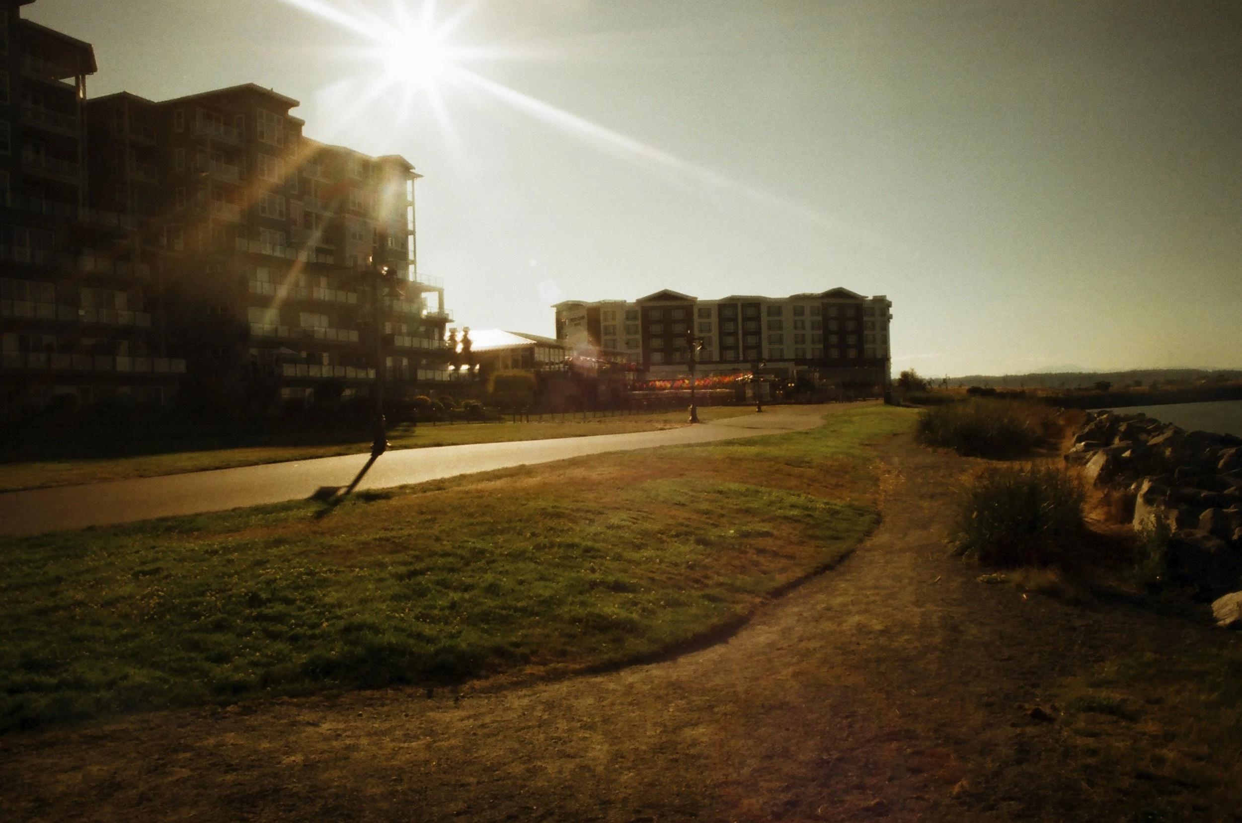 Expired Fuji 100 (shot at 25) 