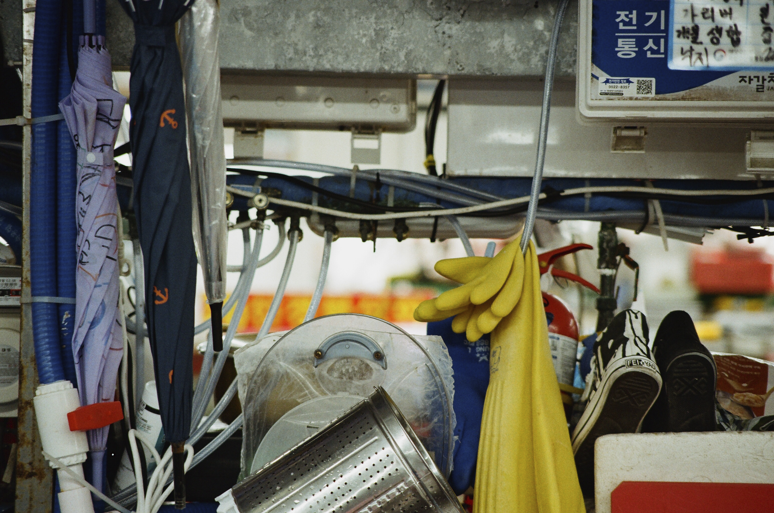 Busan fish market 03
