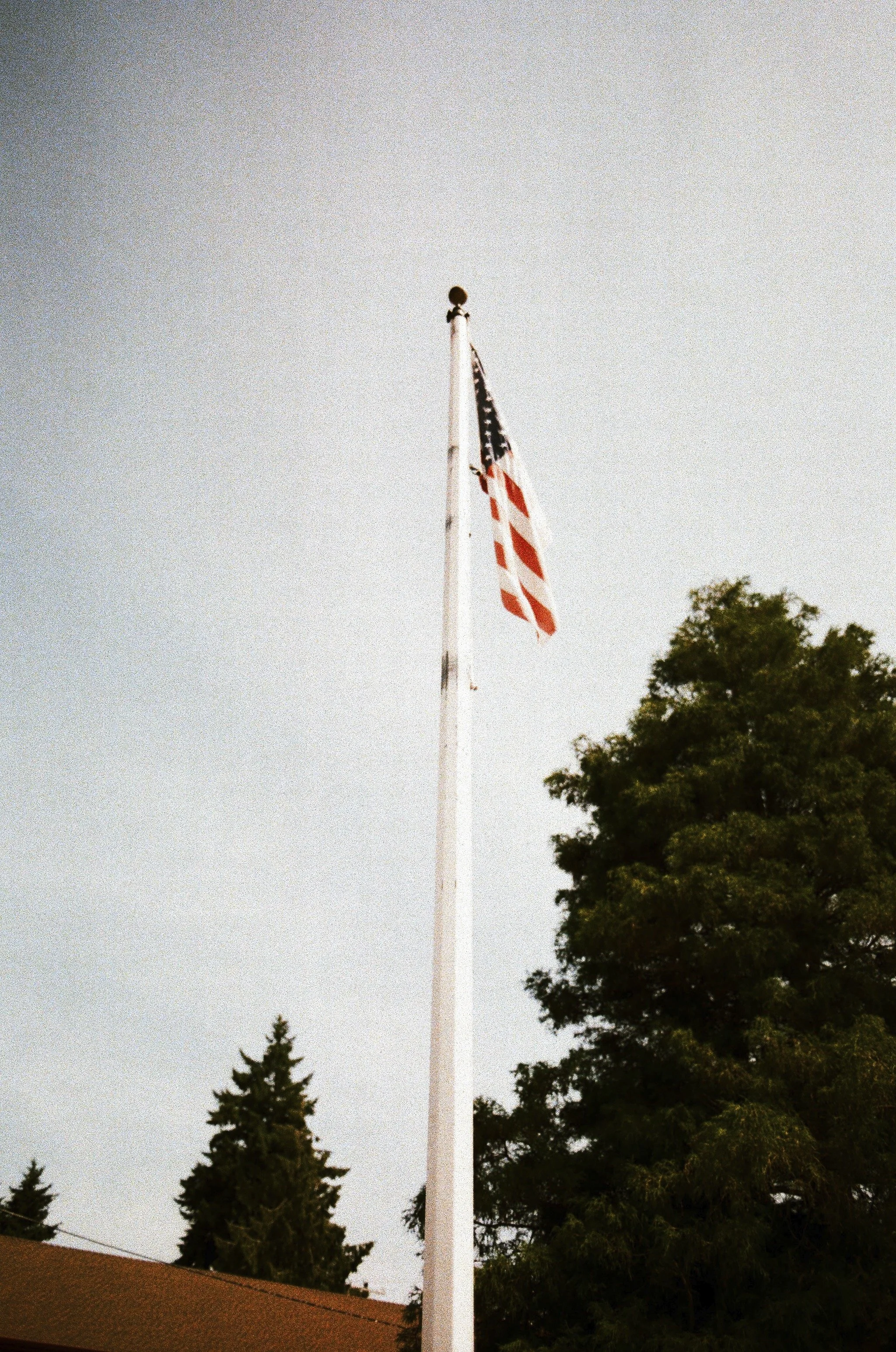 Expired Fuji 100 (shot at 25) pushed 1 stop