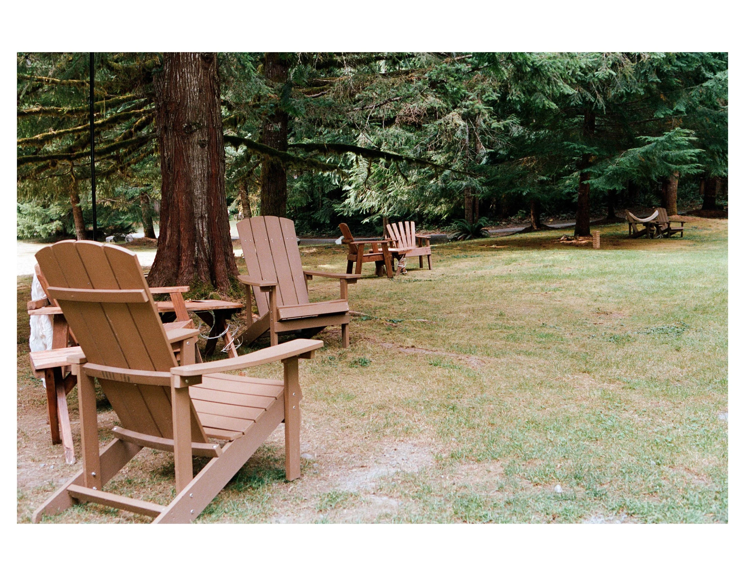 Four beige Adirondack chairs on a grassy area surrounded by tall green trees in a forest setting.