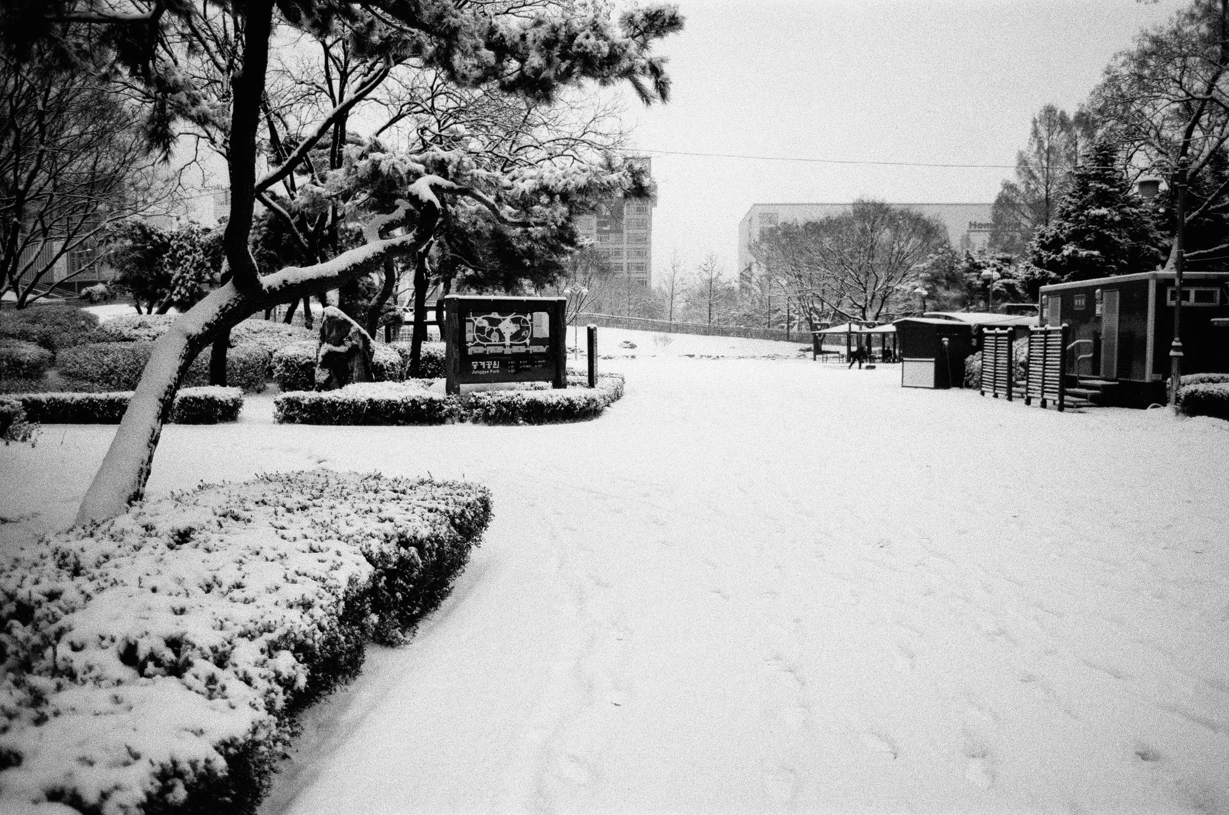 Snow in, snow out