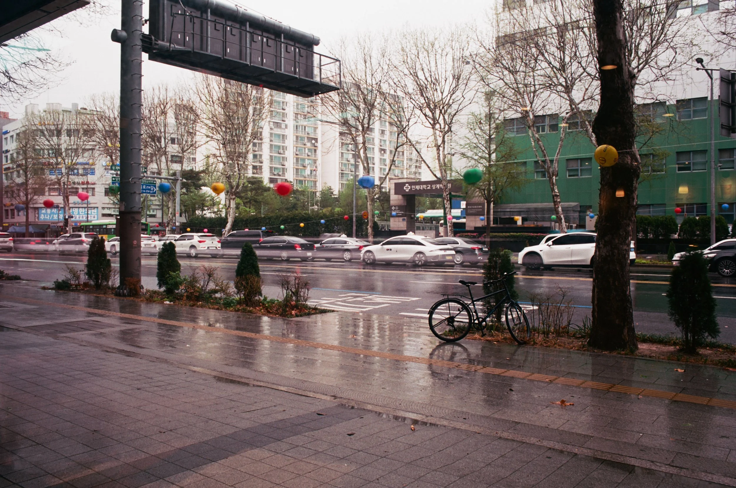 2025.04.20.ektar.100-10.jpg