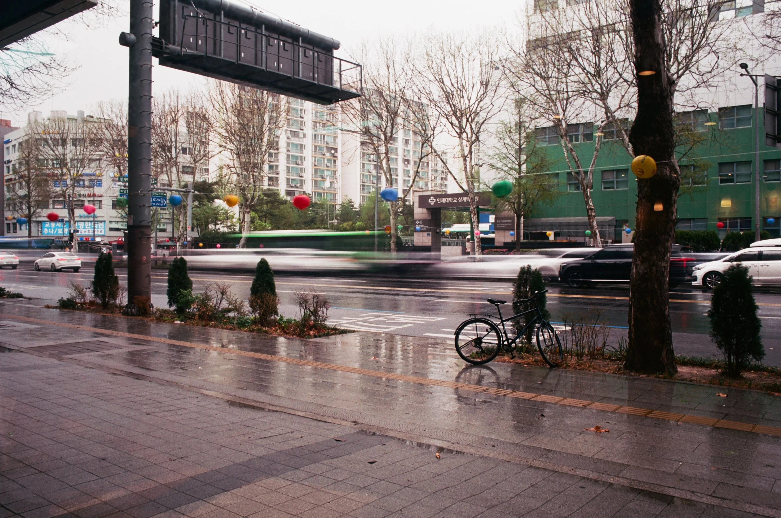 2025.04.20.ektar.100-11.jpg