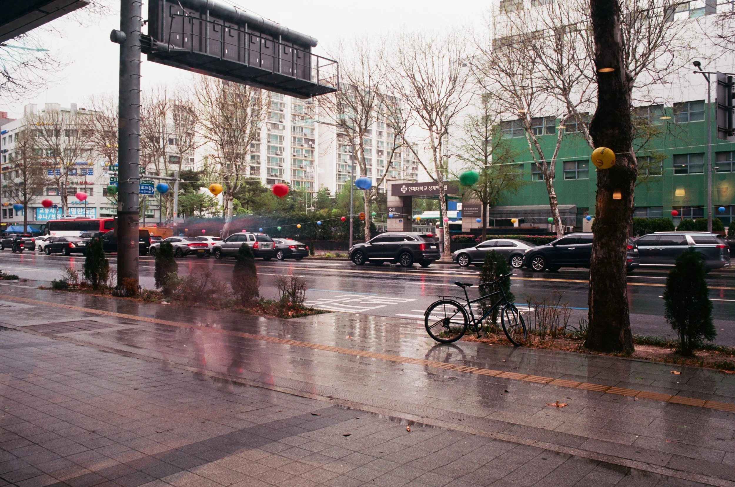 2025.04.20.ektar.100-15.jpg