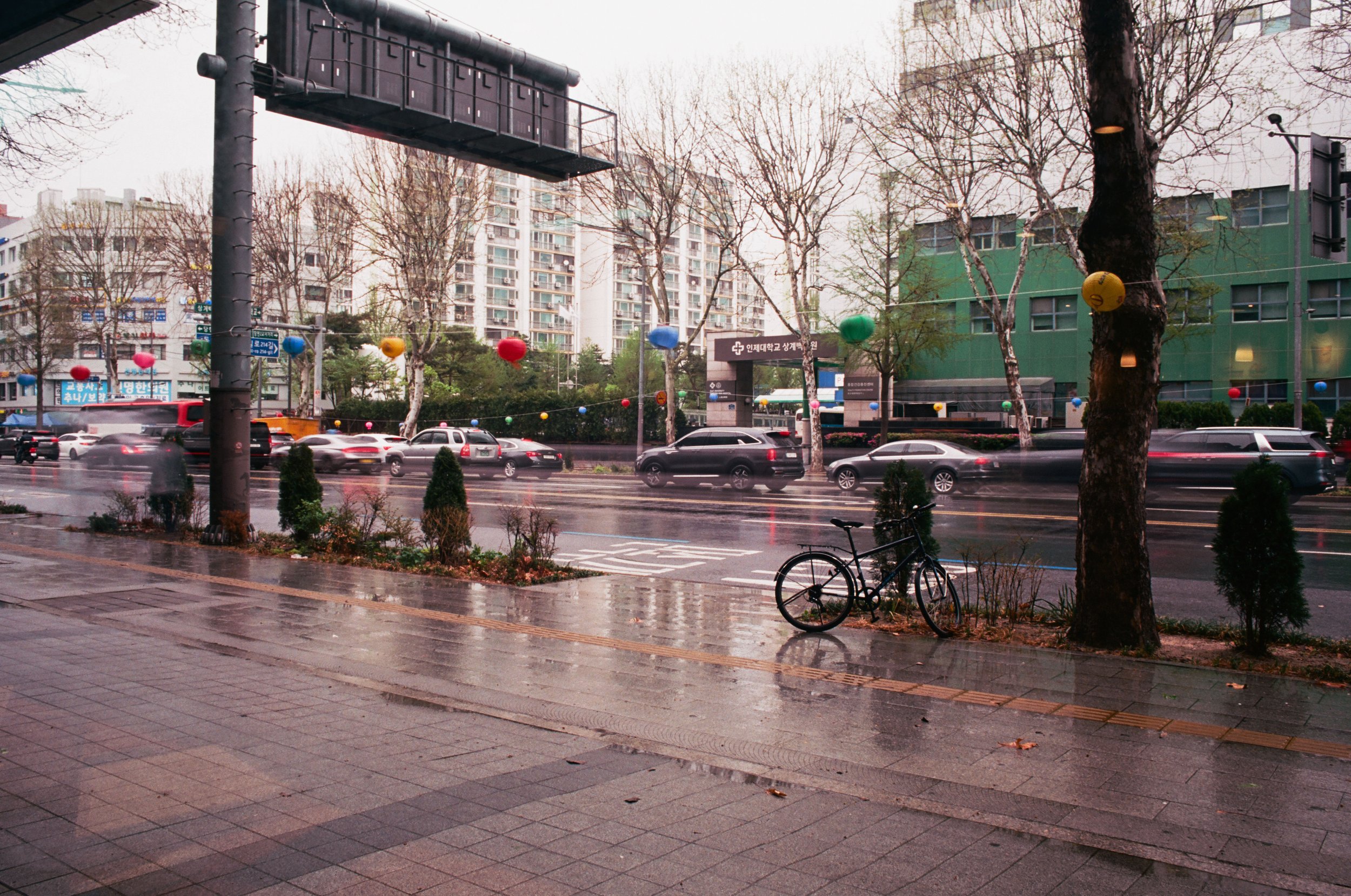 2025.04.20.ektar.100-16.jpg