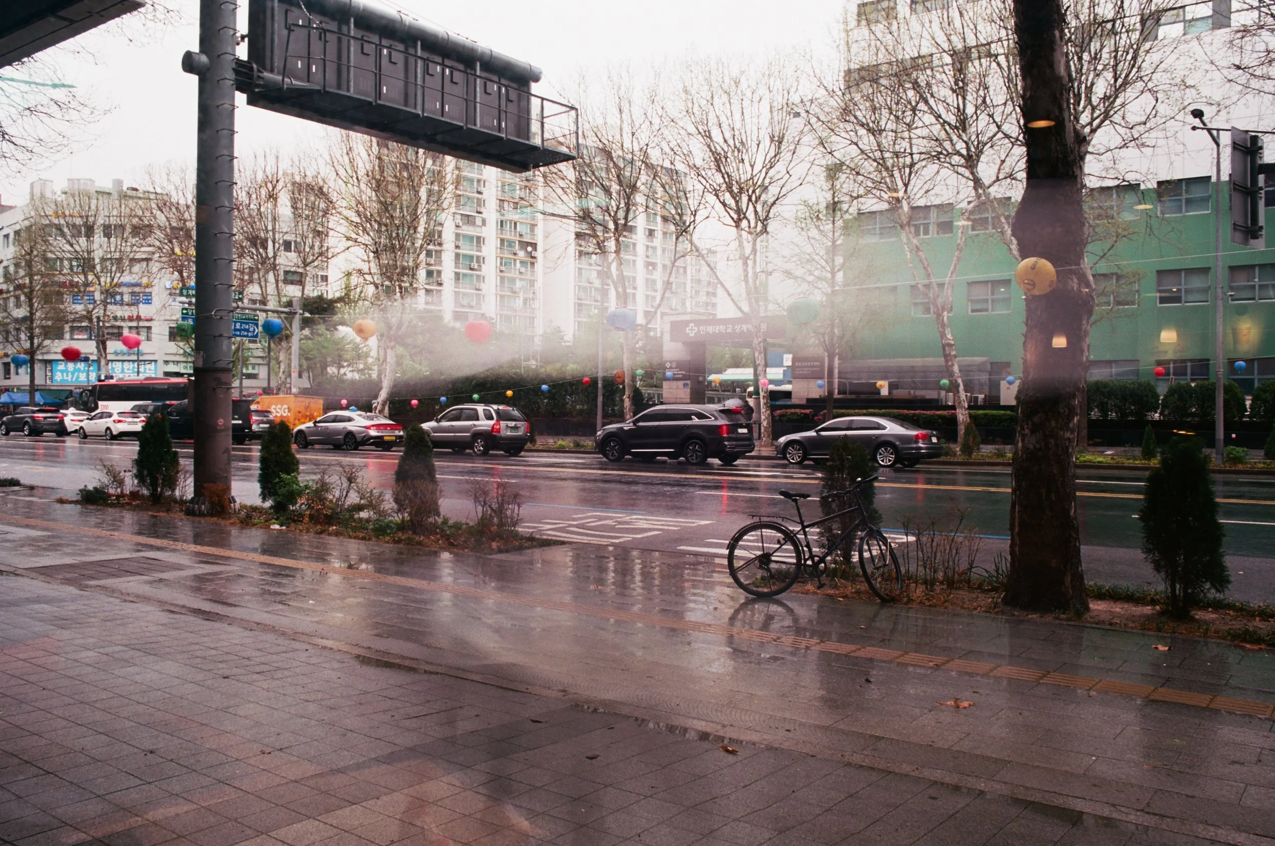 2025.04.20.ektar.100-17.jpg