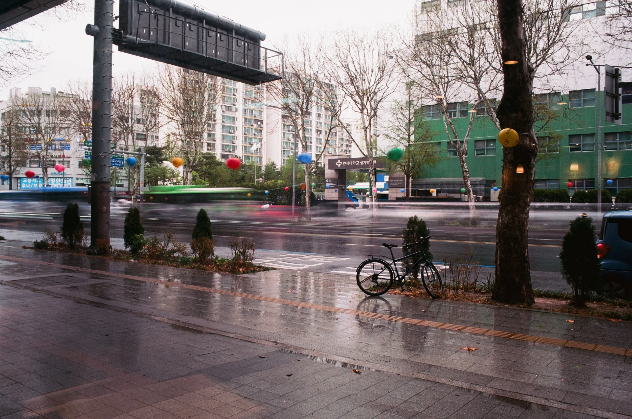 2025.04.20.ektar.100-23.jpg