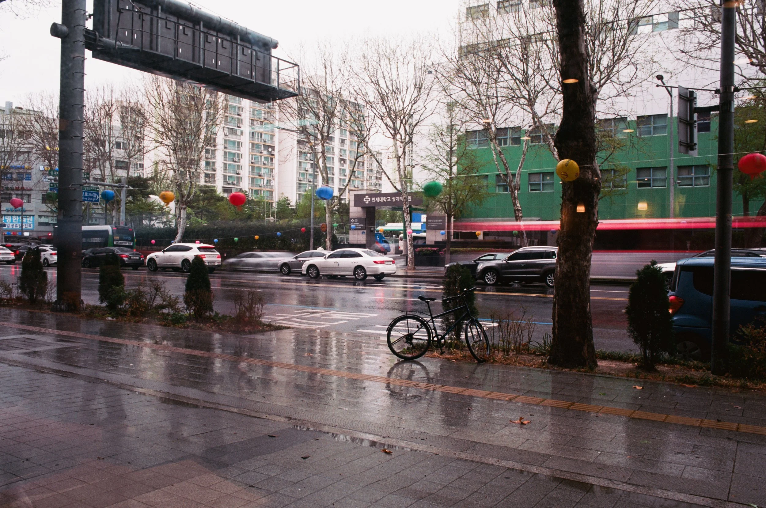 2025.04.20.ektar.100-25.jpg