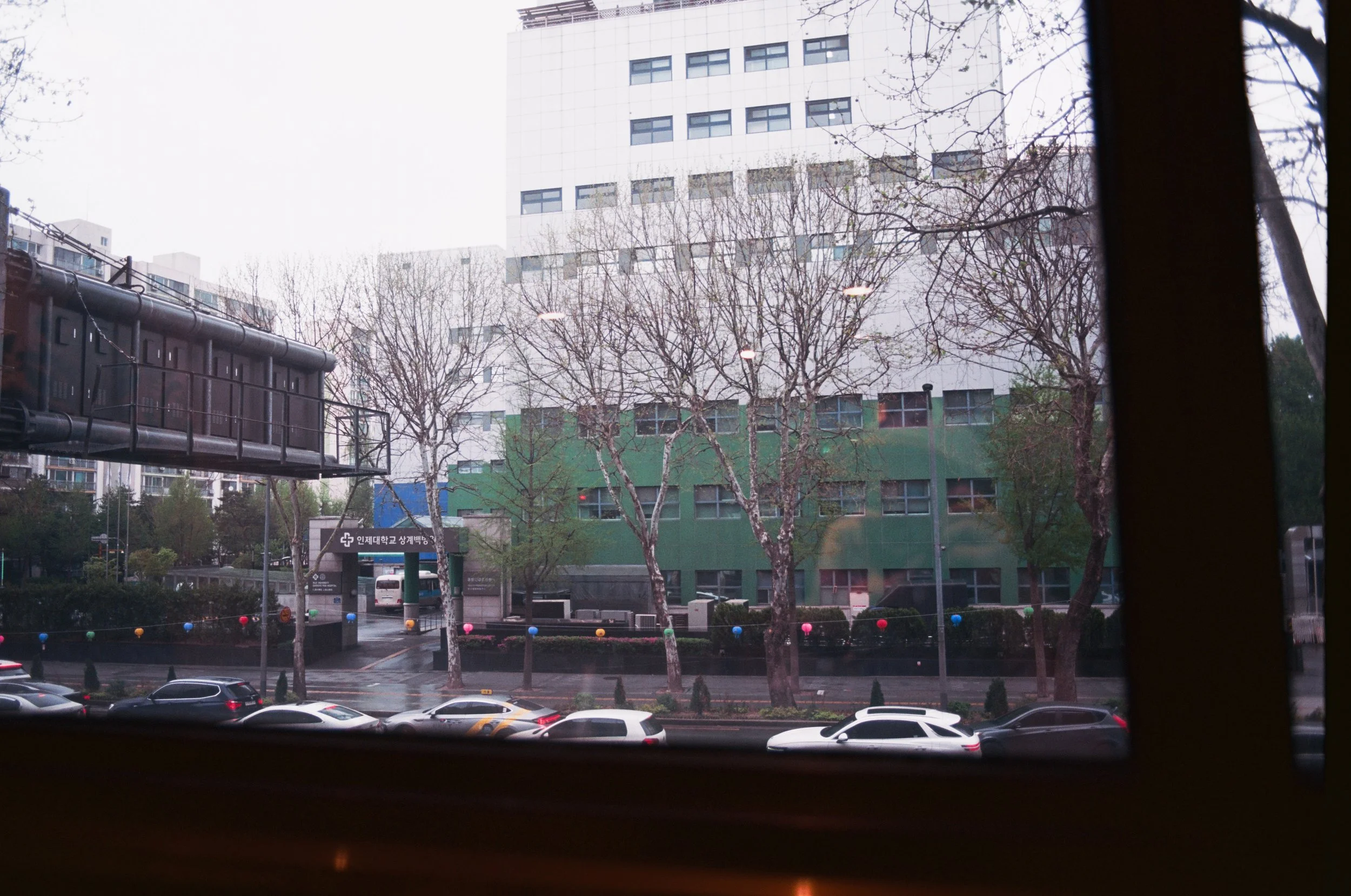 2025.04.20.ektar.100-30.jpg