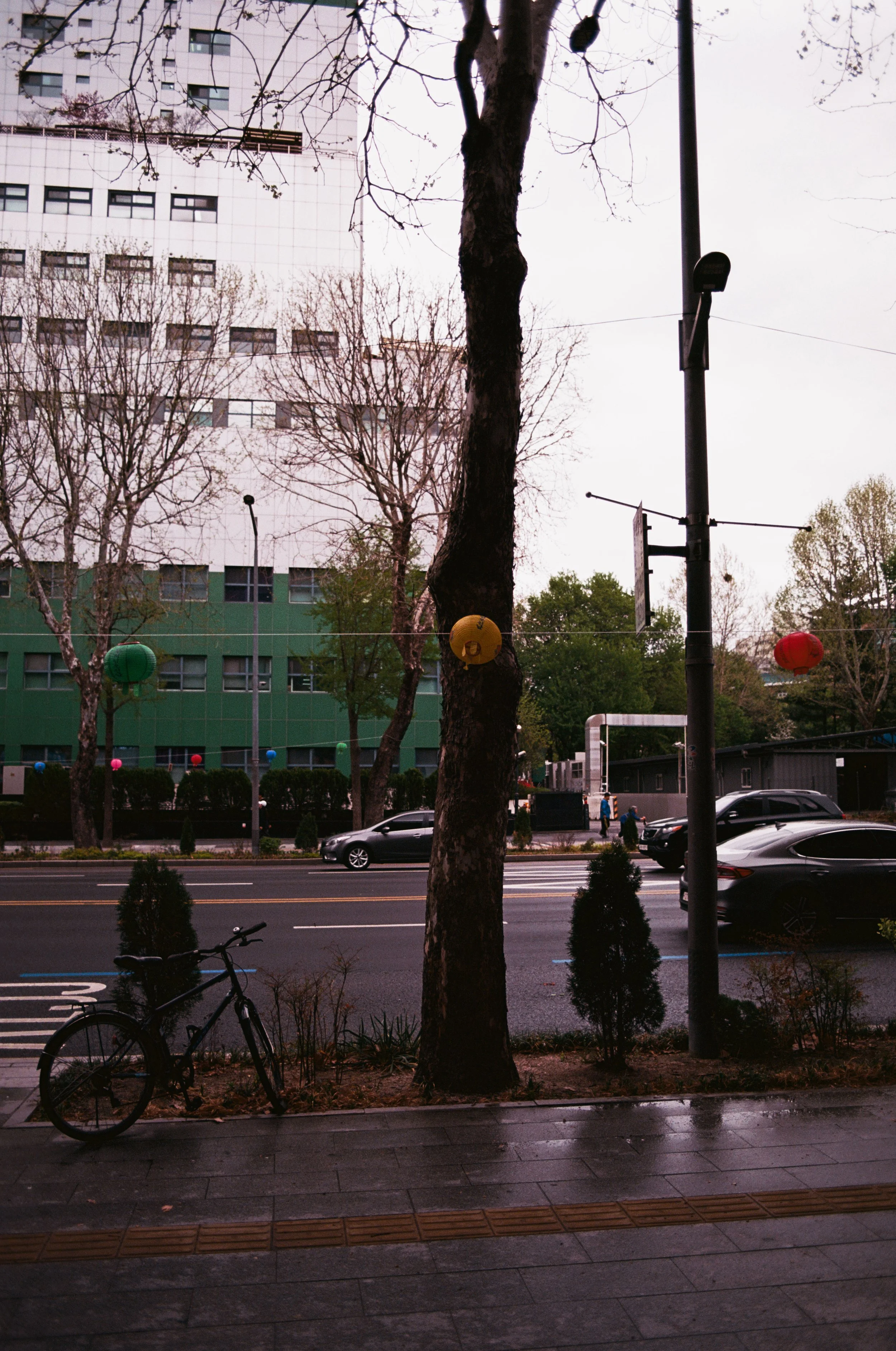 2025.04.20.ektar.100-31.jpg
