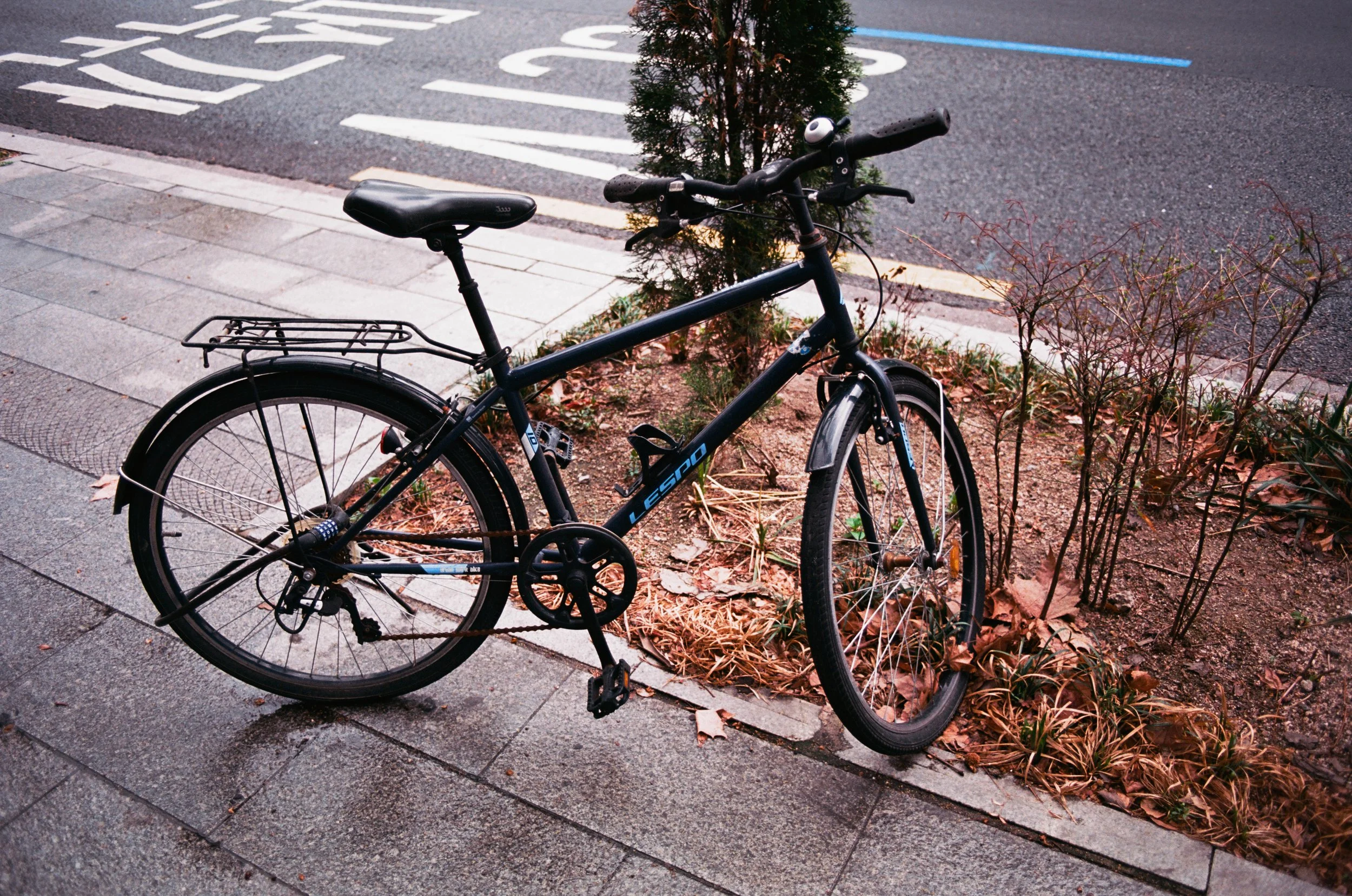2025.04.20.ektar.100-32.jpg