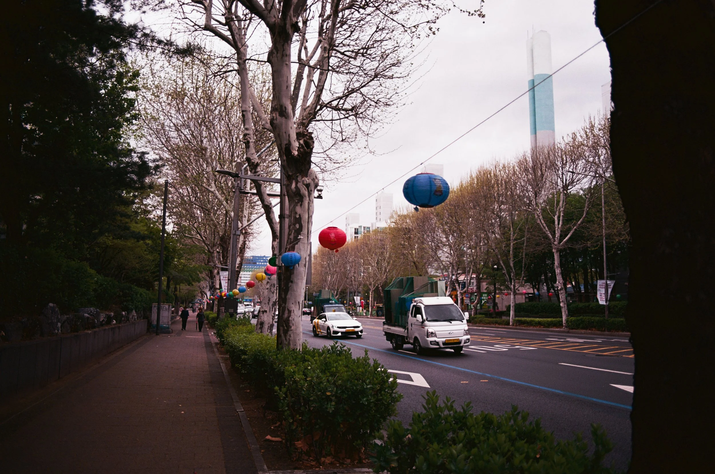 2025.04.20.ektar.100-36.jpg