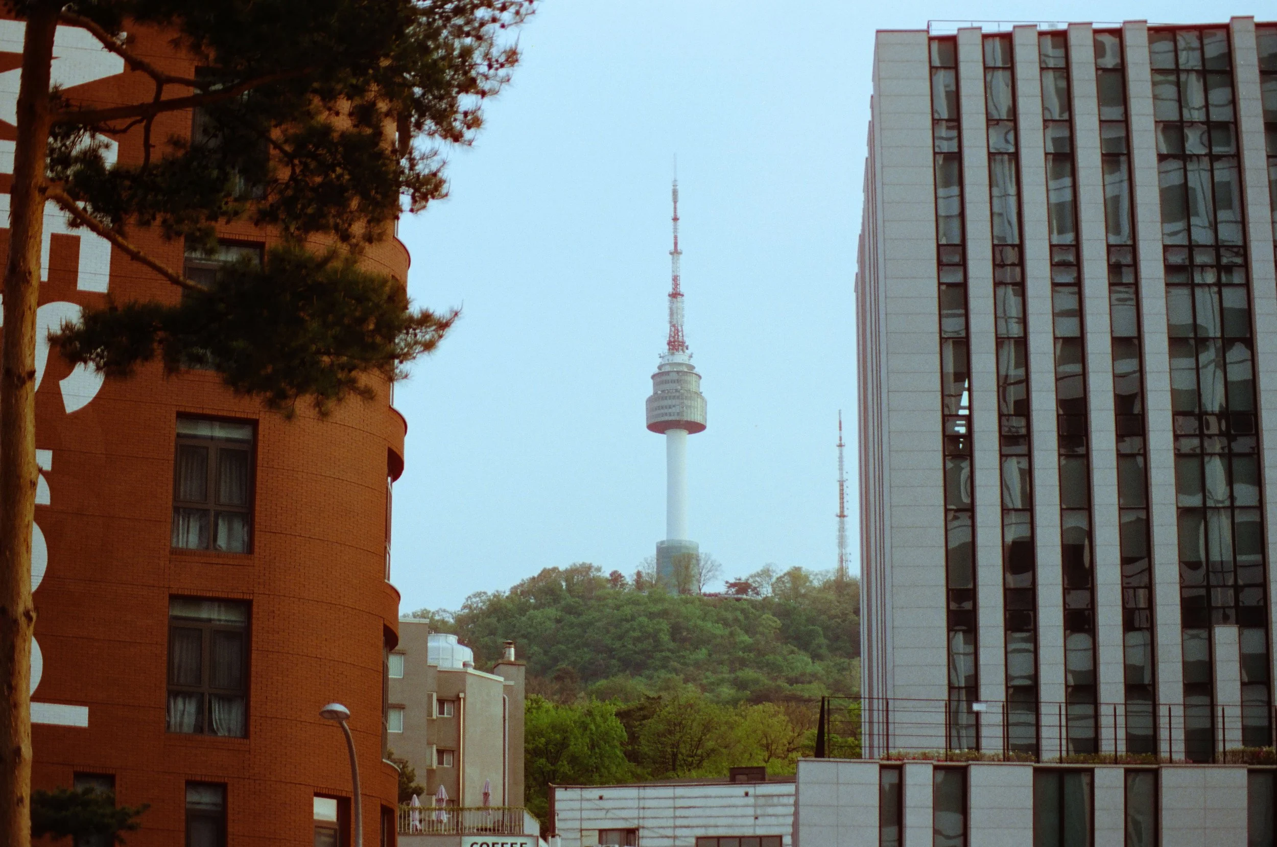 Cinestill 400d, golden hour, and you