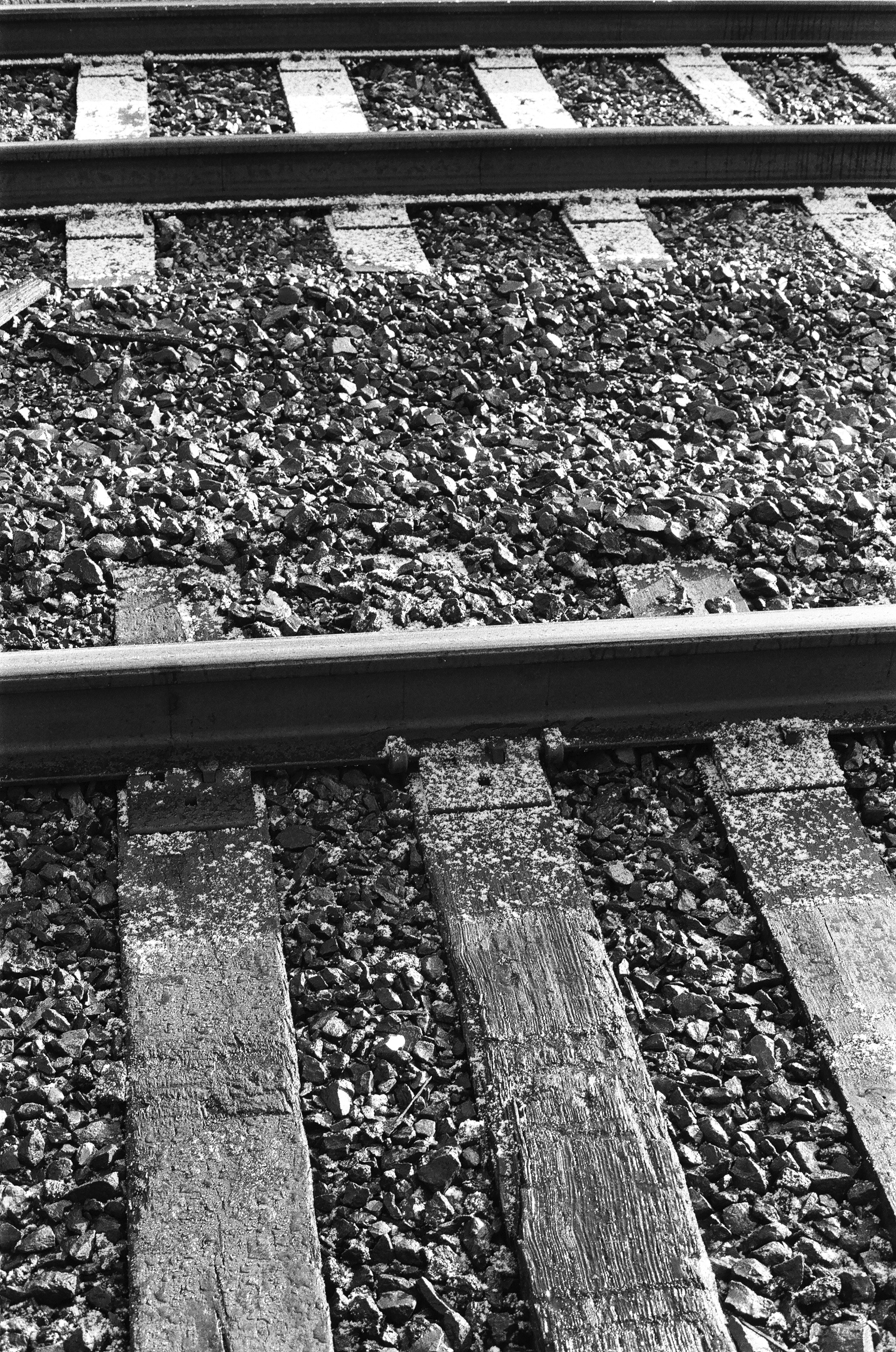 Shot on 35mm Ilford Delta 100 black and white film