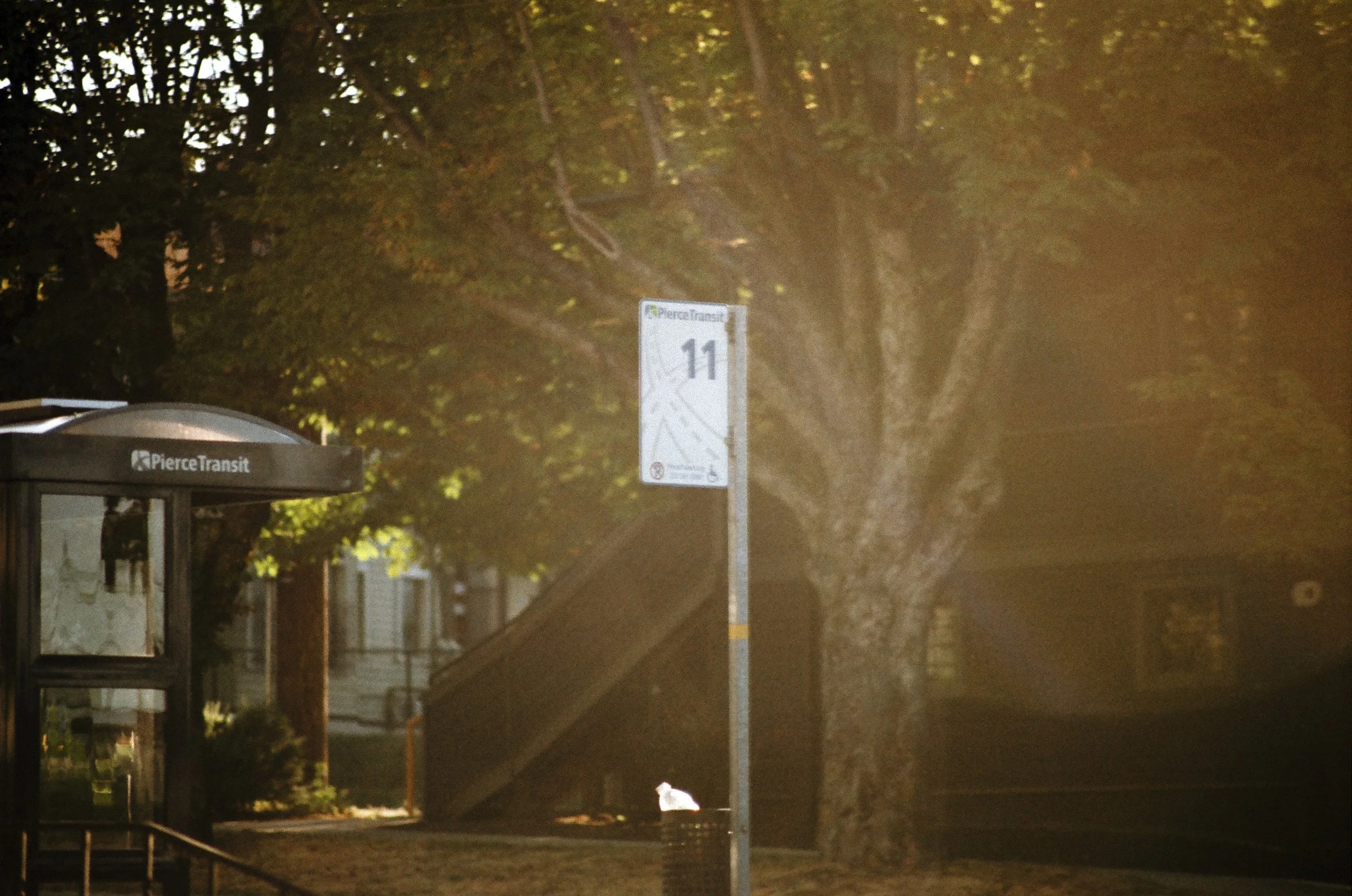 Expired Fuji 100 (shot at 25) 