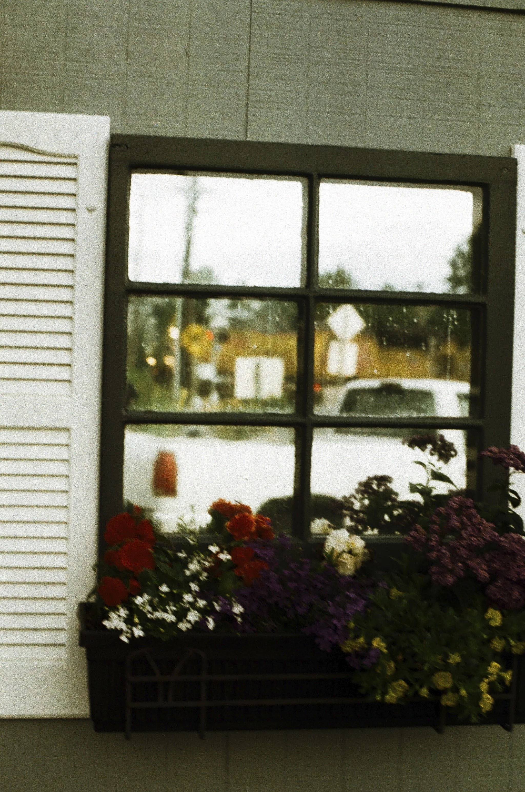 Expired Fuji 100 (shot at 25) pushed 1 stop