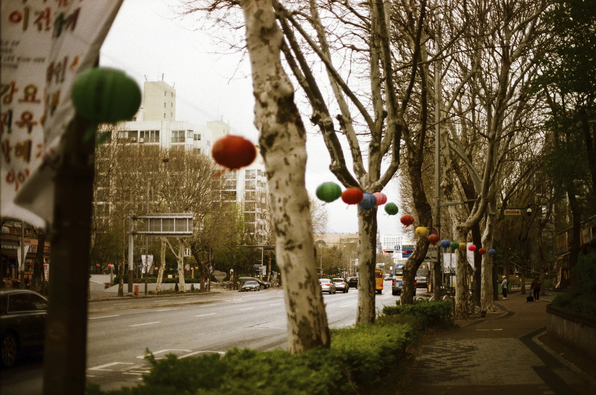 Expired Fuji 100 (shot at 25)