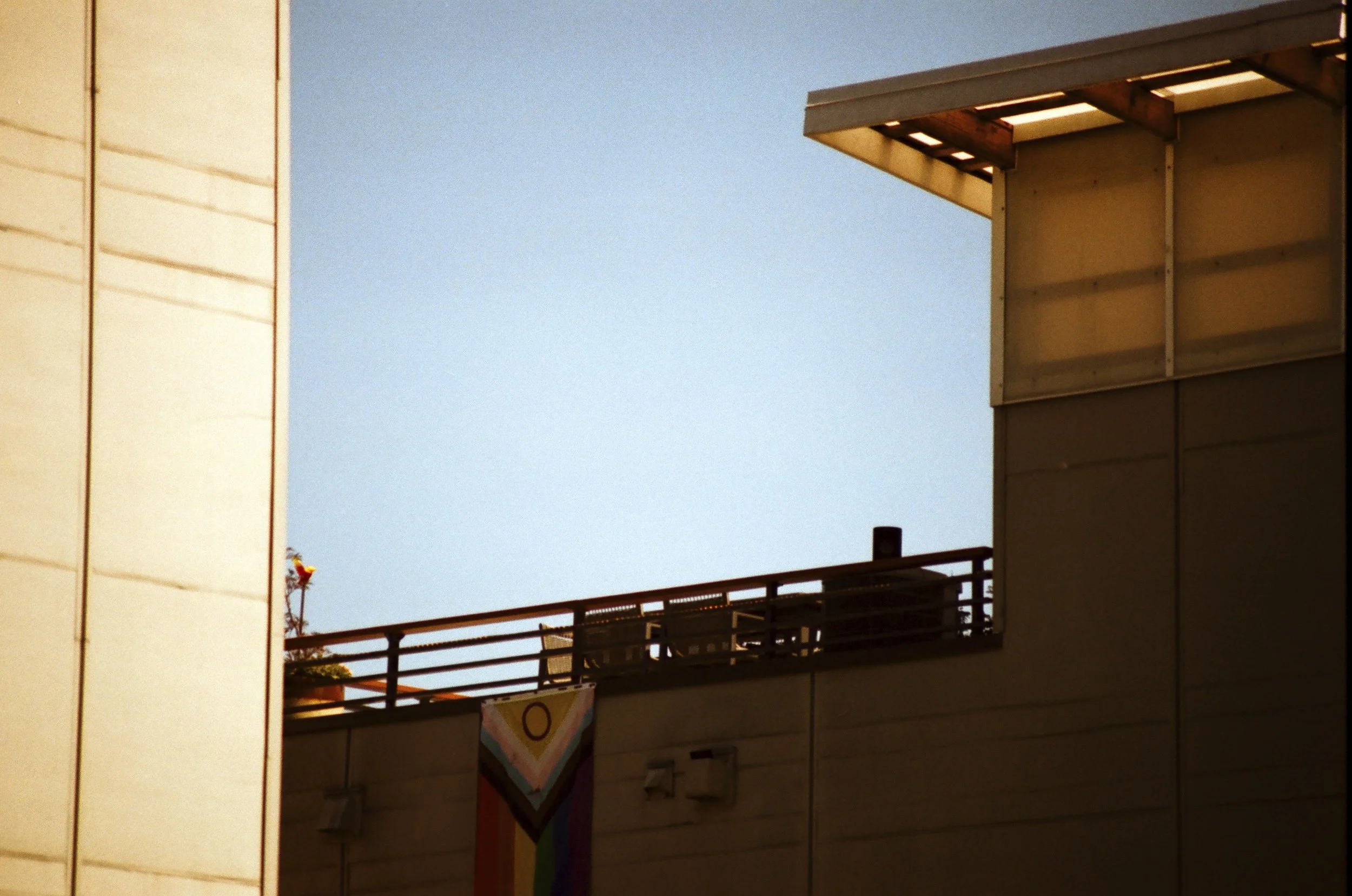 Expired Fuji 100 (shot at 25) 