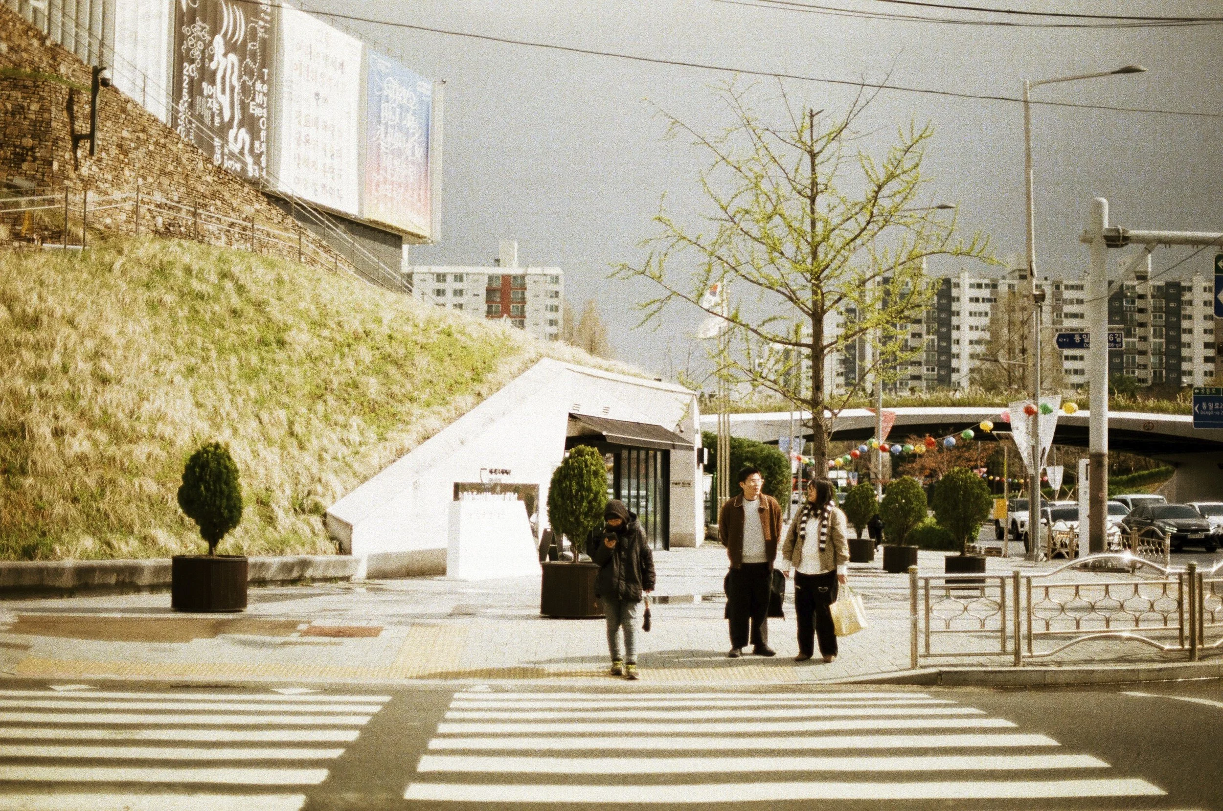 Expired Fuji 100 (shot at 25)