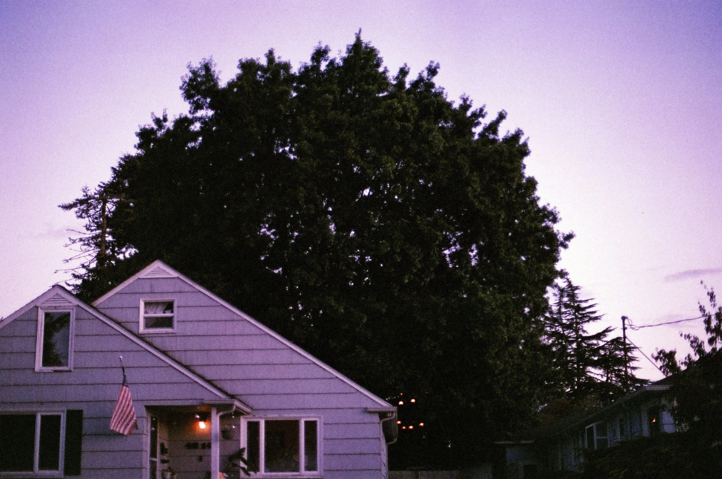 Expired Kodak Gold 100