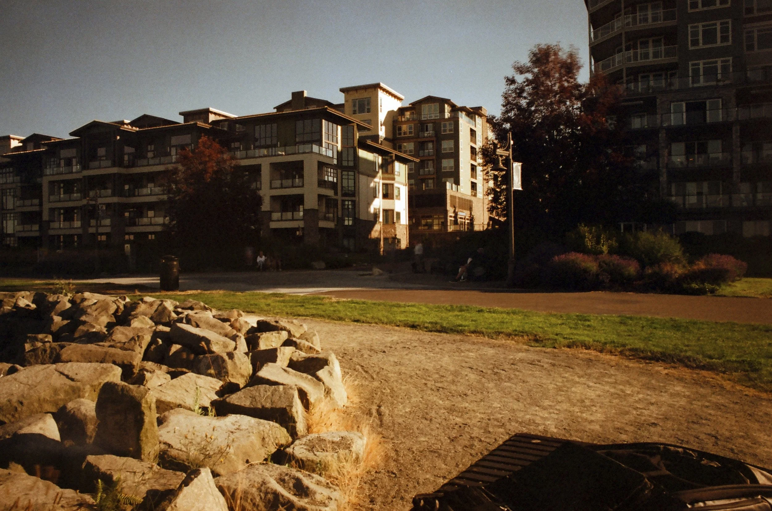 Expired Fuji 100 (shot at 25) 