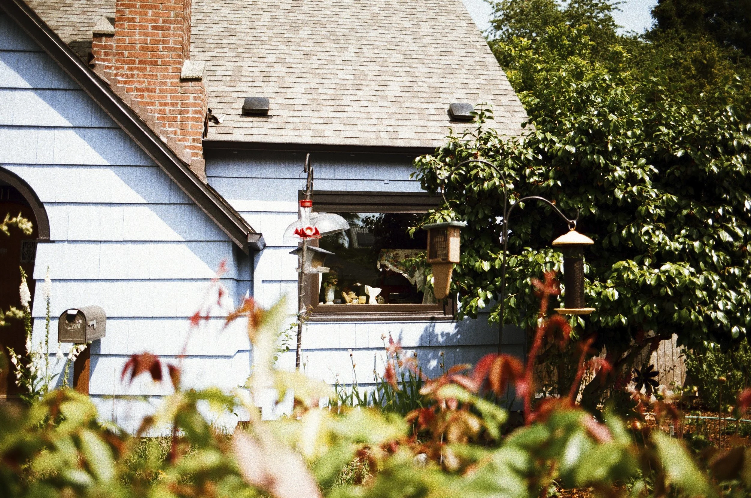 Expired Fuji 100 (shot at 25) pushed 1 stop