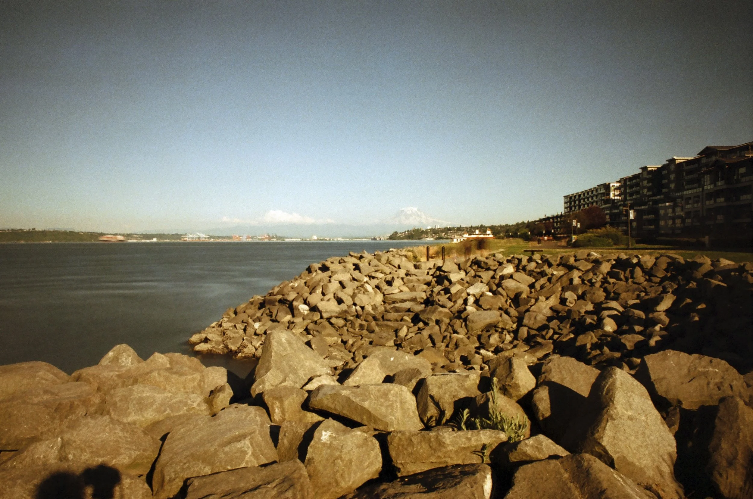 Expired Fuji 100 (shot at 25) 