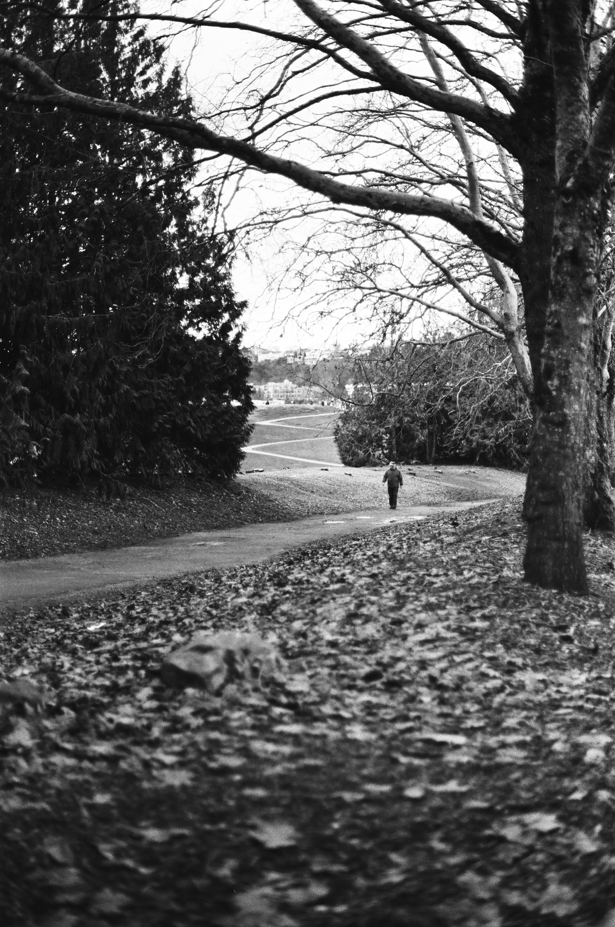 Walking back and forth.png