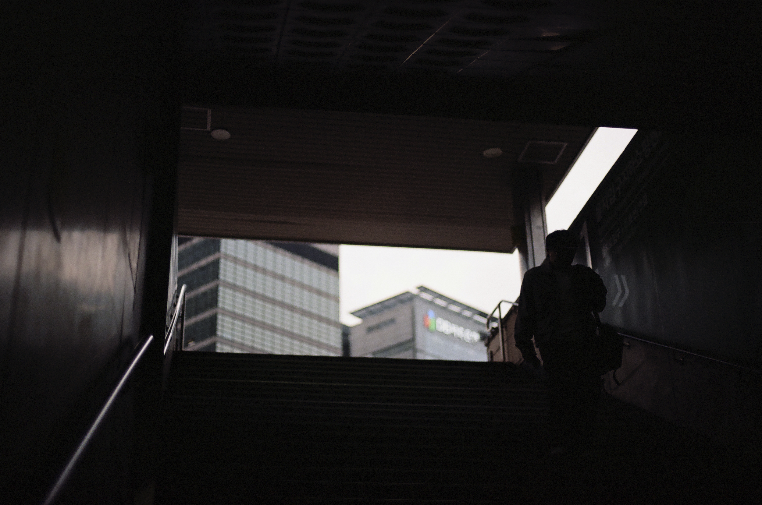 The light calls to all.png