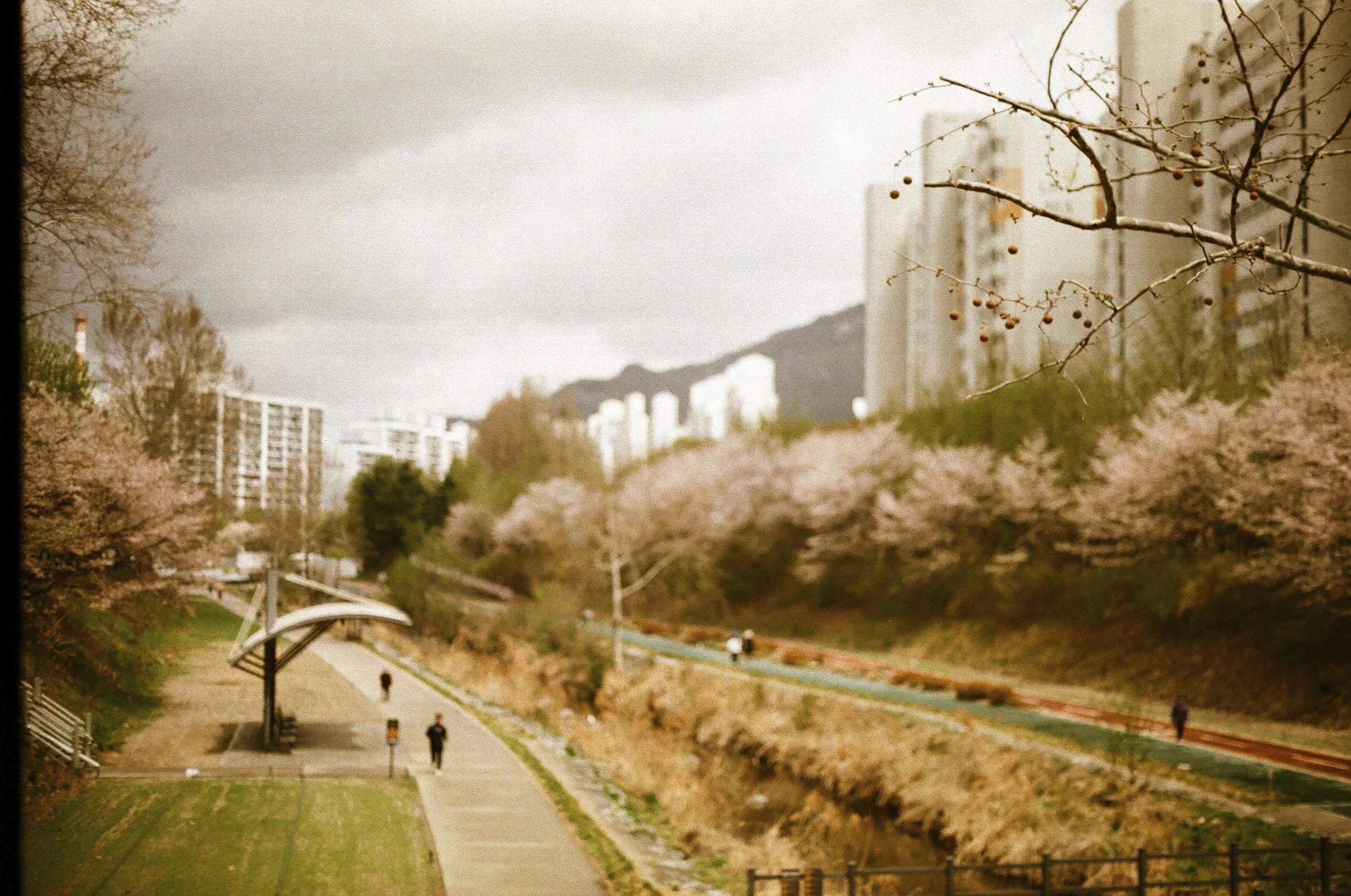 Expired Fuji 100 (shot at 25)