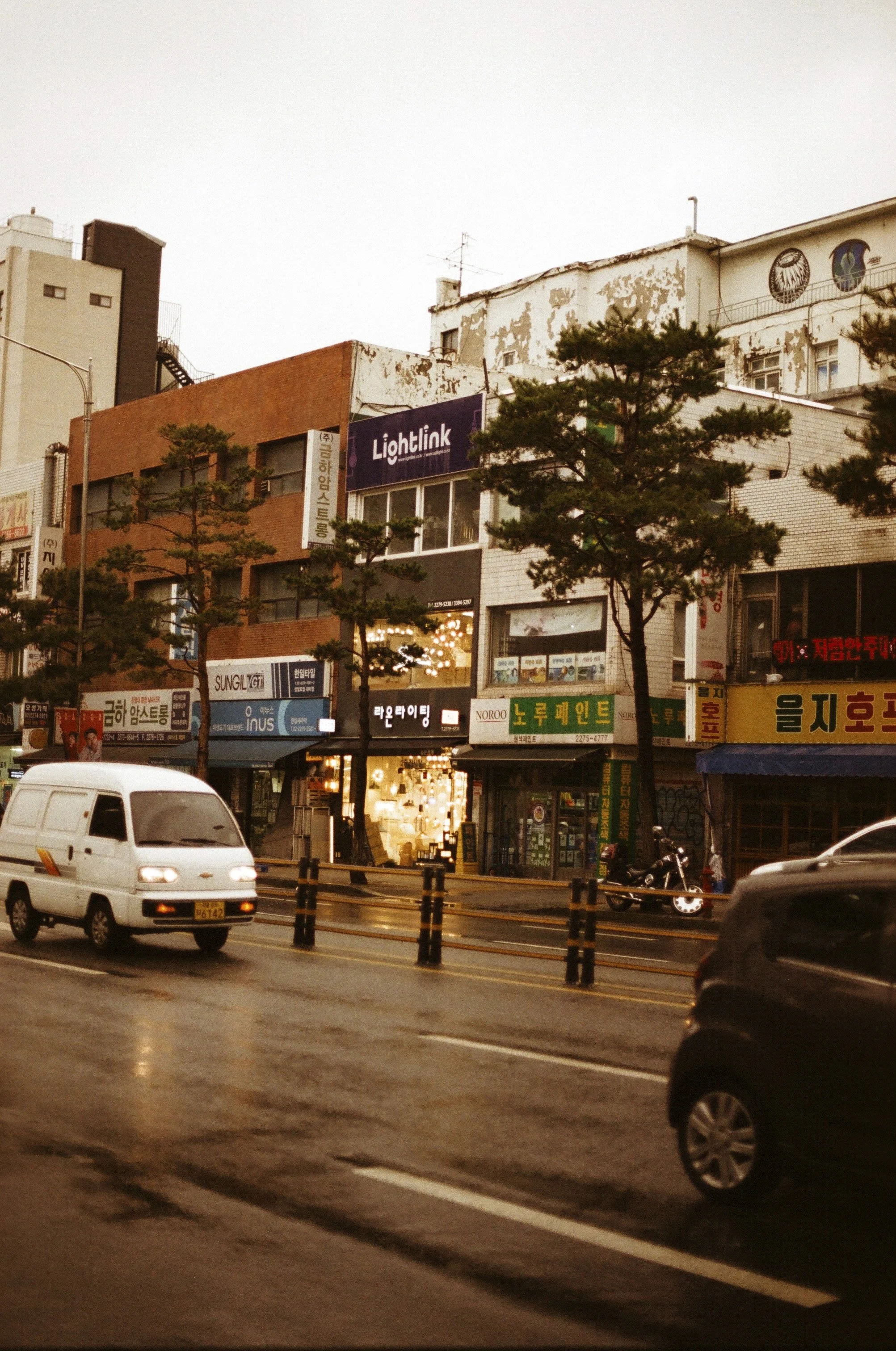 Expired Fuji 100 (shot at 25)