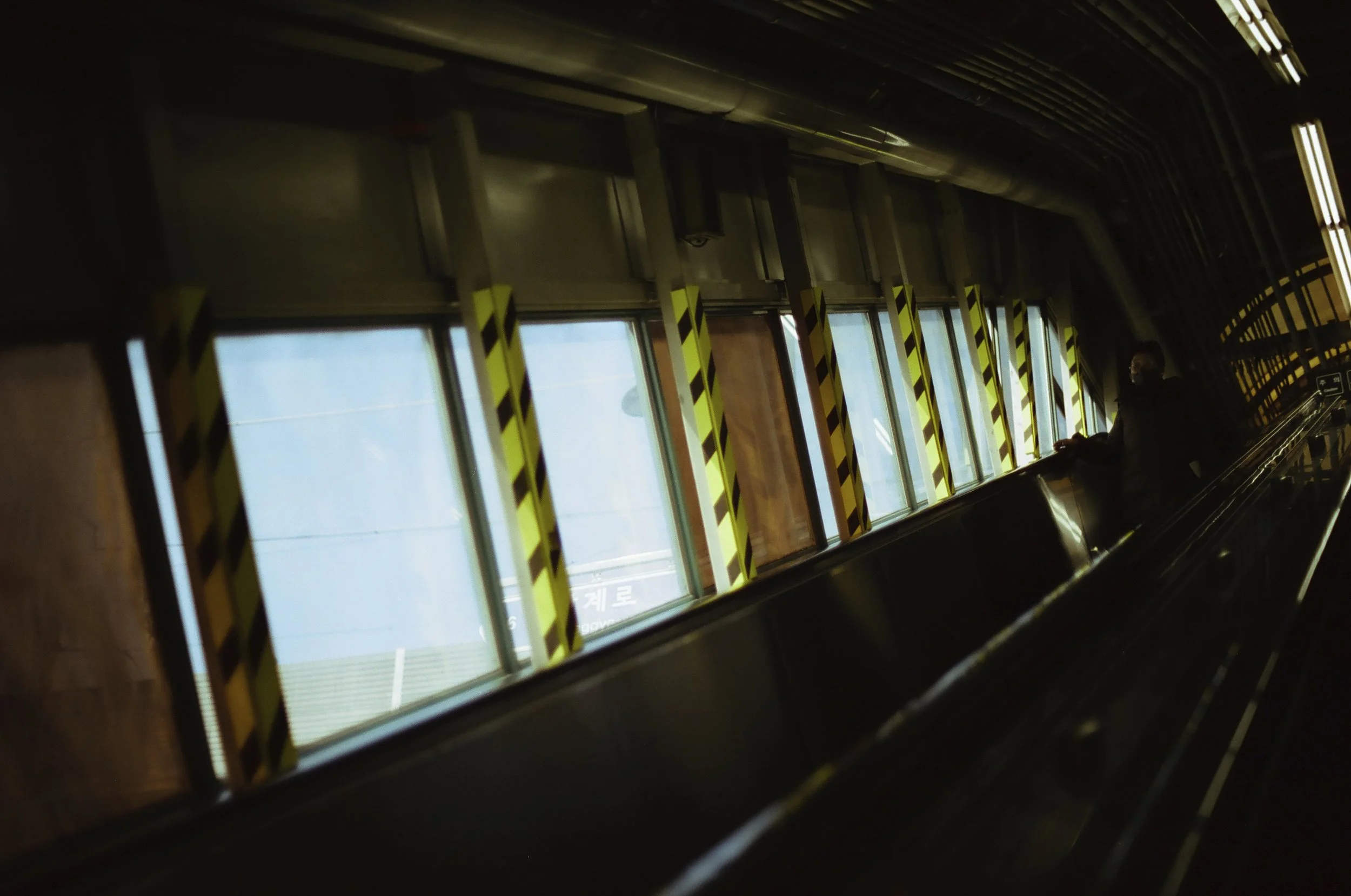 peeping in through the cold and dark.jpeg