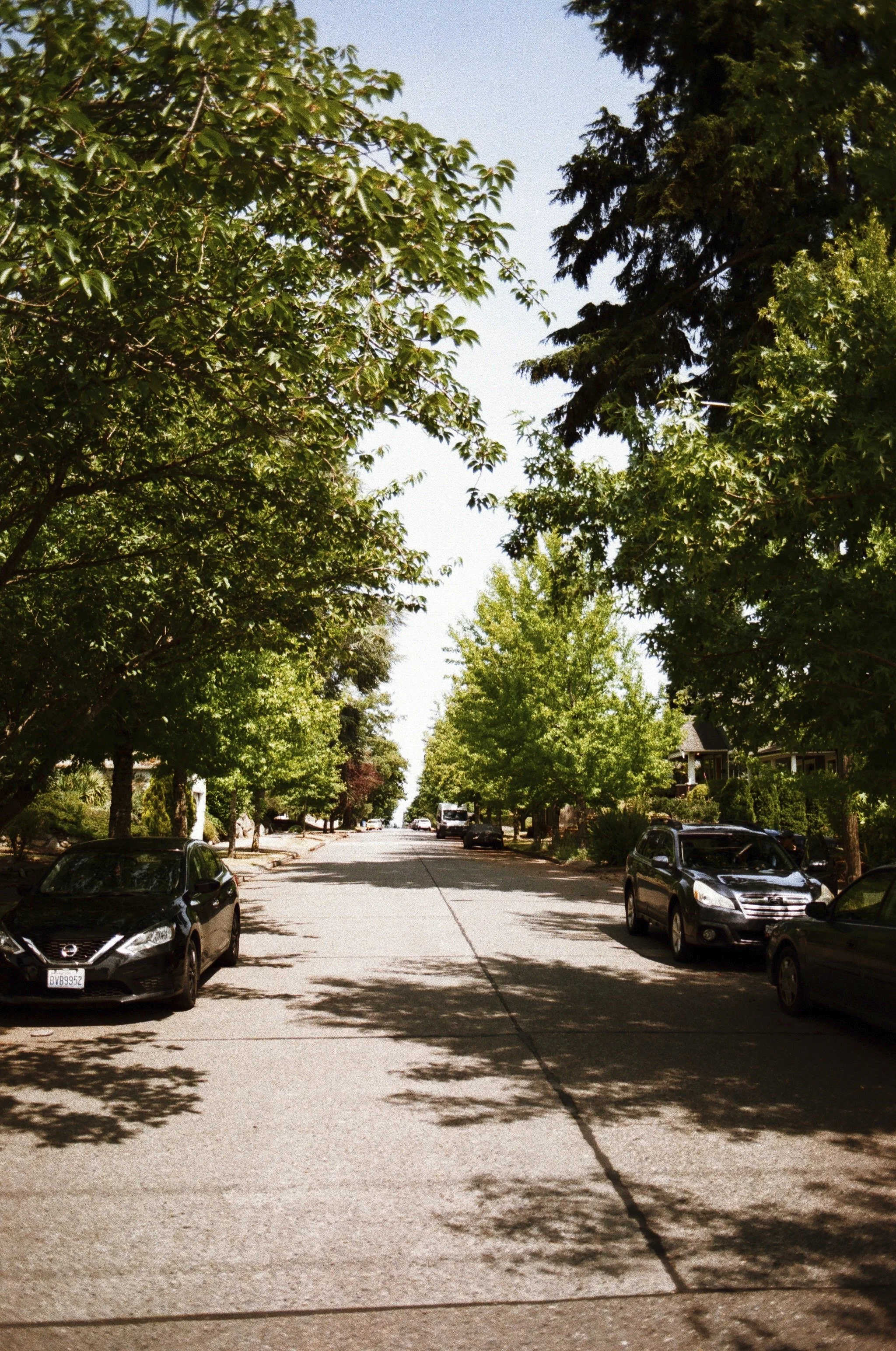 Expired Fuji 100 (shot at 25) pushed 1 stop