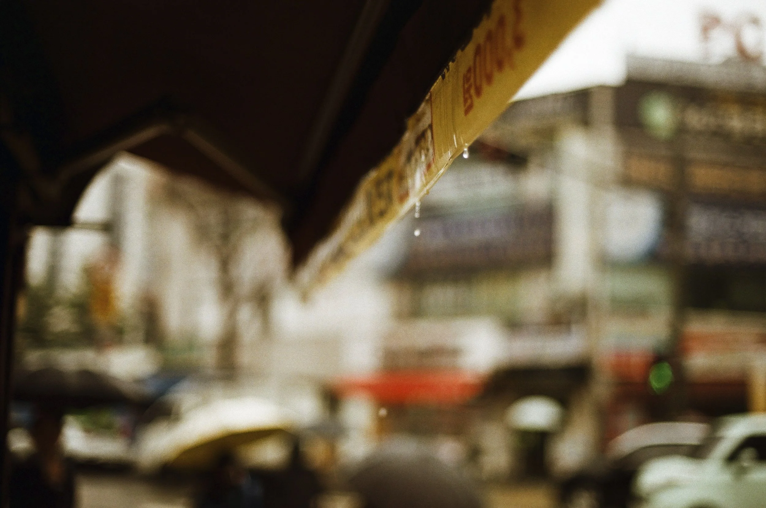 Expired Fuji 100 (shot at 25)