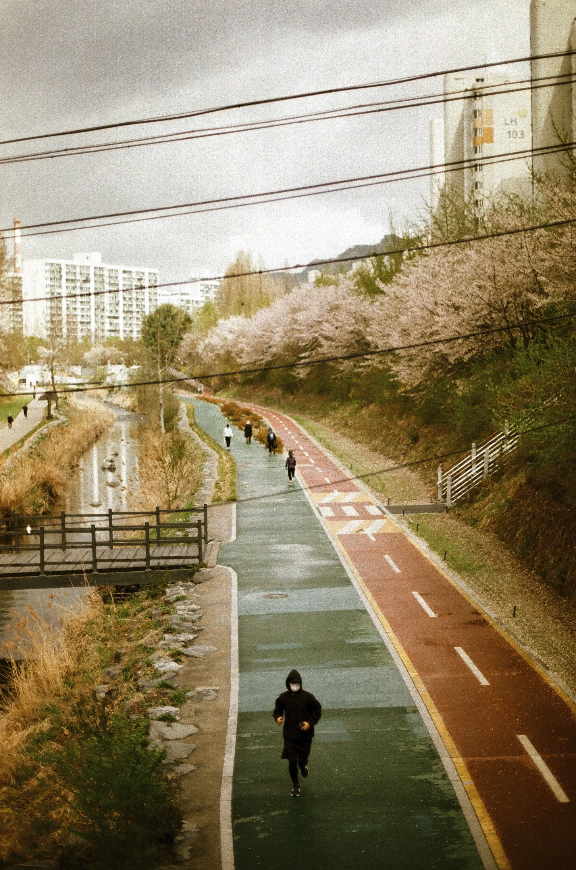 Expired Fuji 100 (shot at 25)