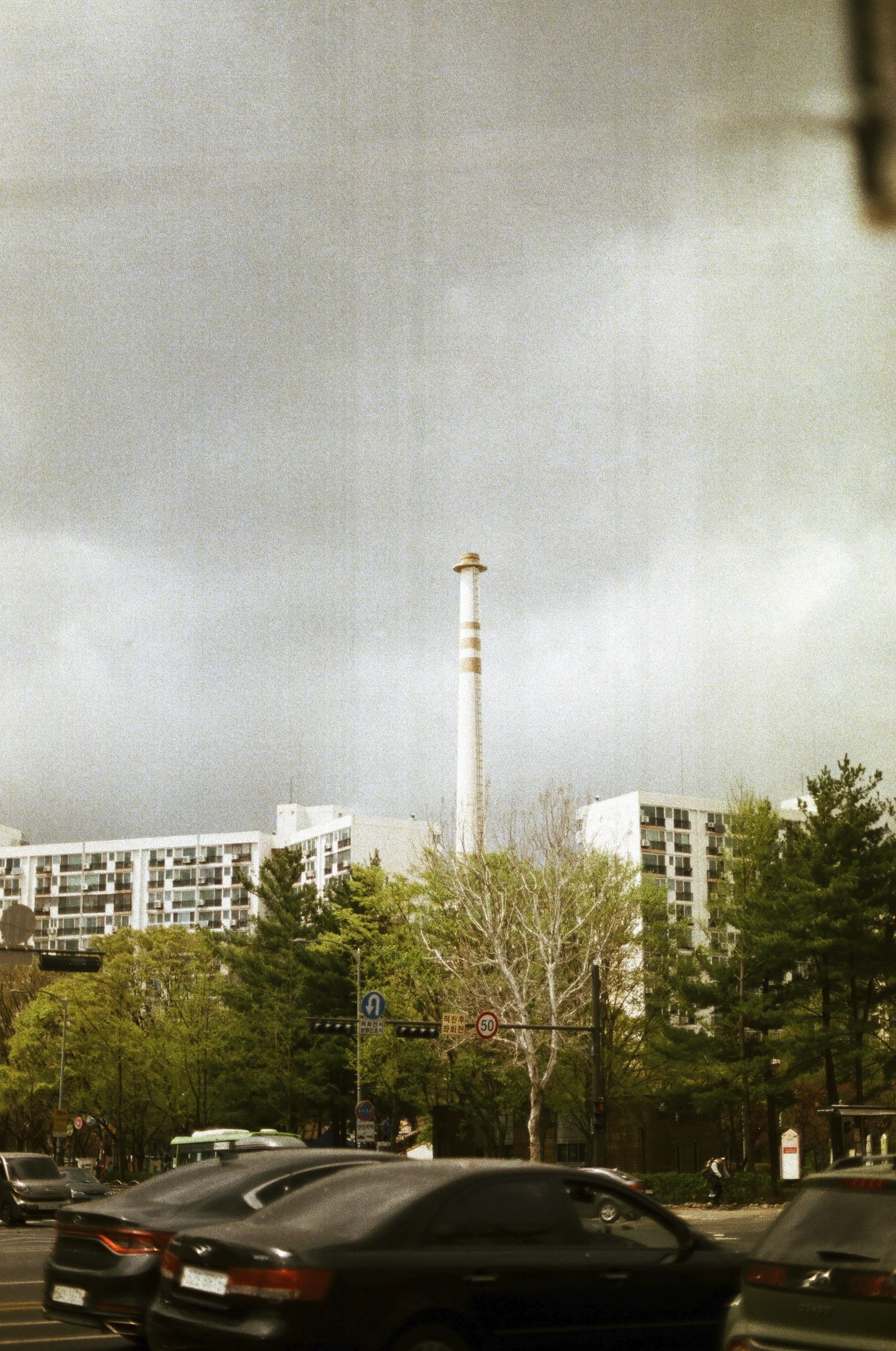 Expired Fuji 100 (shot at 25)