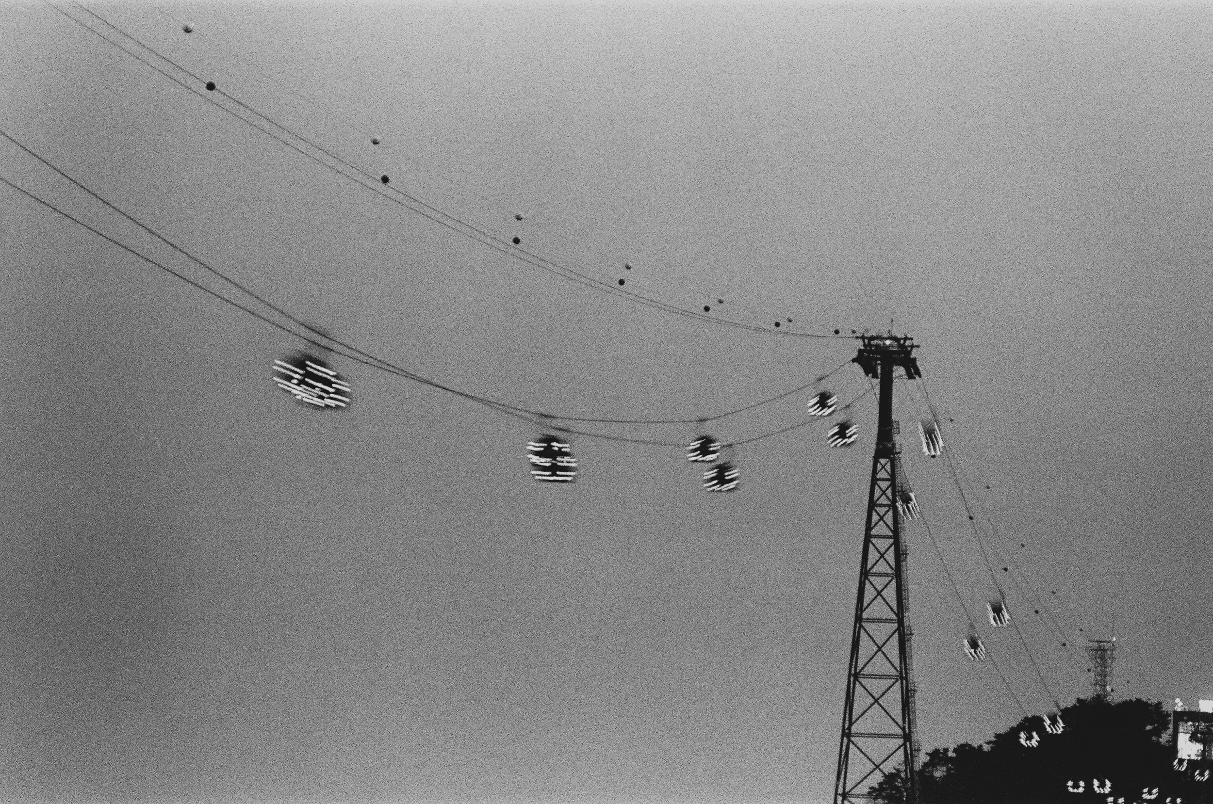 busan air cruise b/w-4