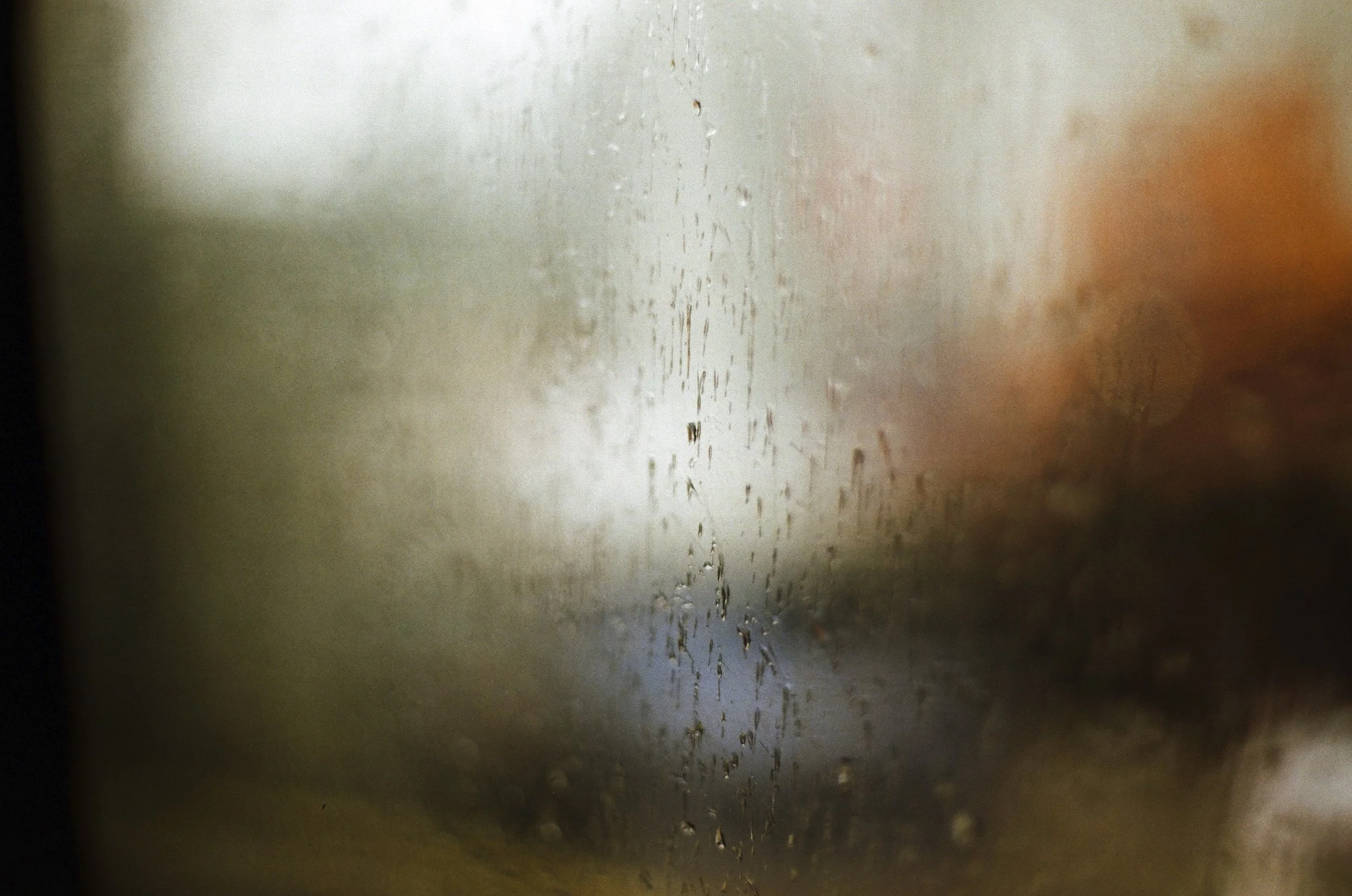 Expired Fuji 100 (shot at 25)