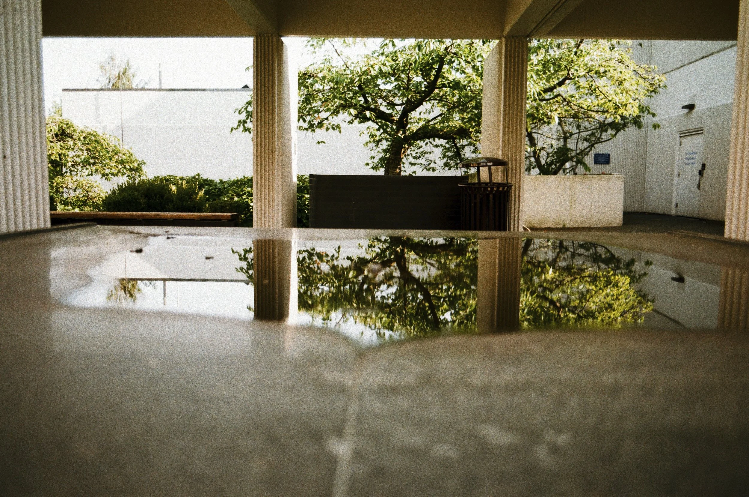 Expired Fuji 100 (shot at 25) pushed 1 stop