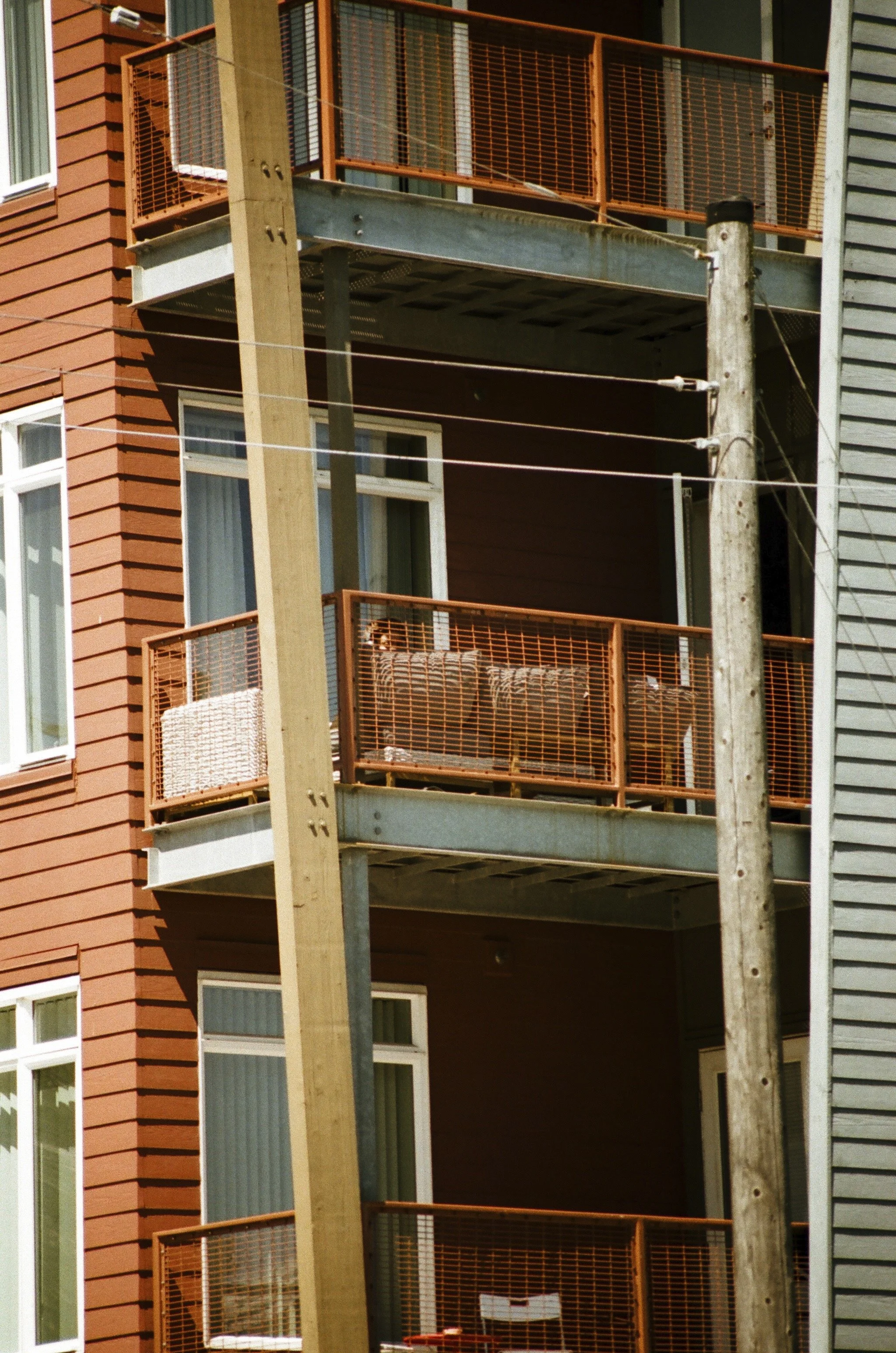 Expired Fuji 100 (shot at 25) 