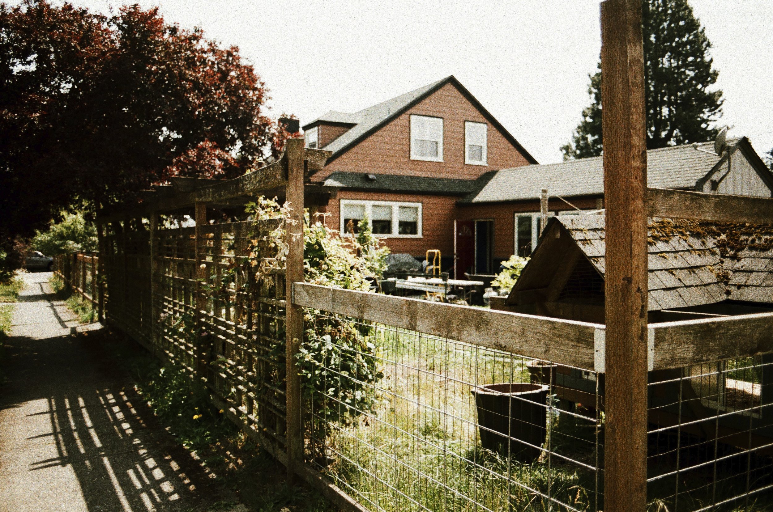 Expired Fuji 100 (shot at 25) pushed 1 stop