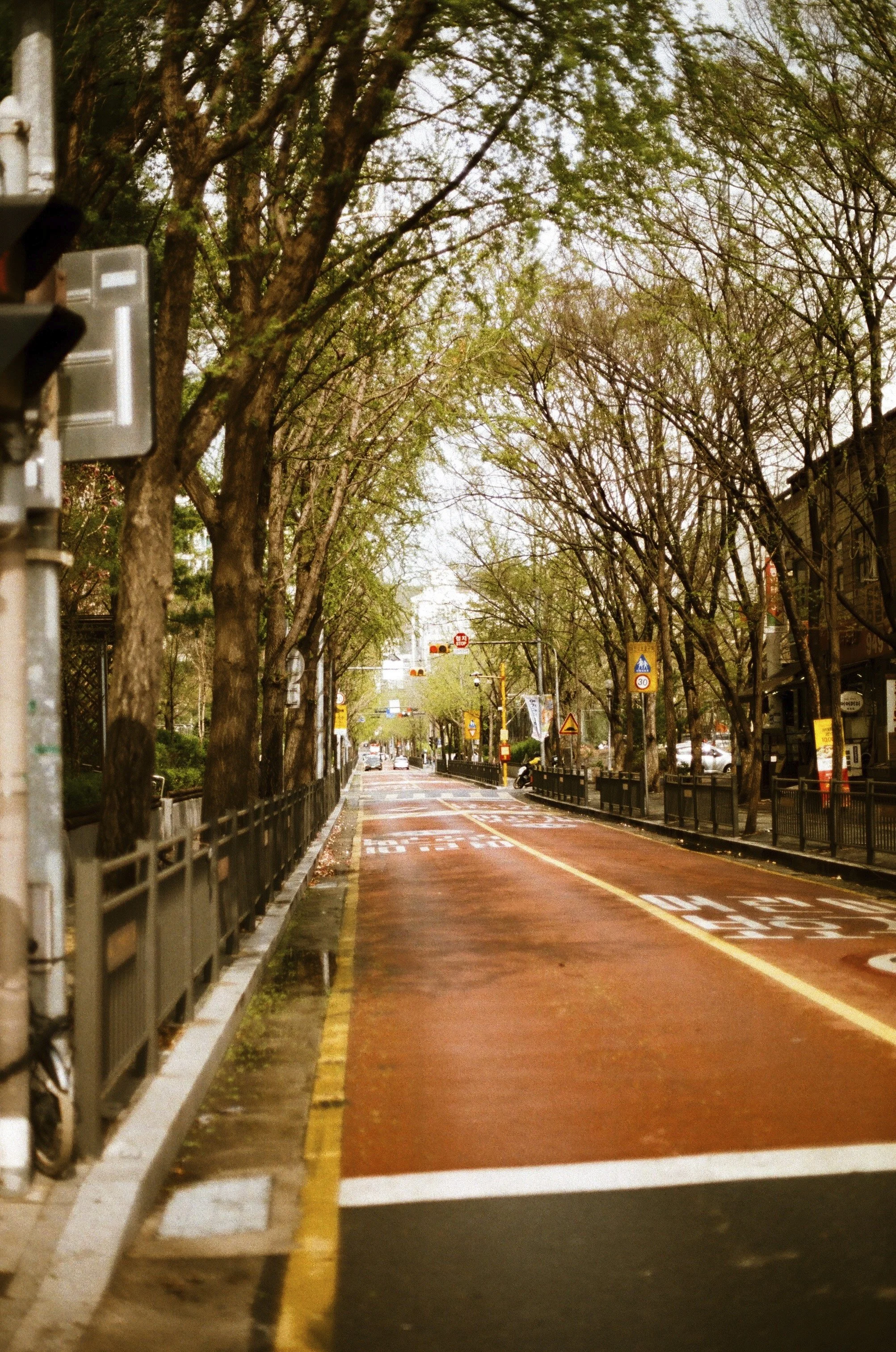 Expired Fuji 100 (shot at 25)