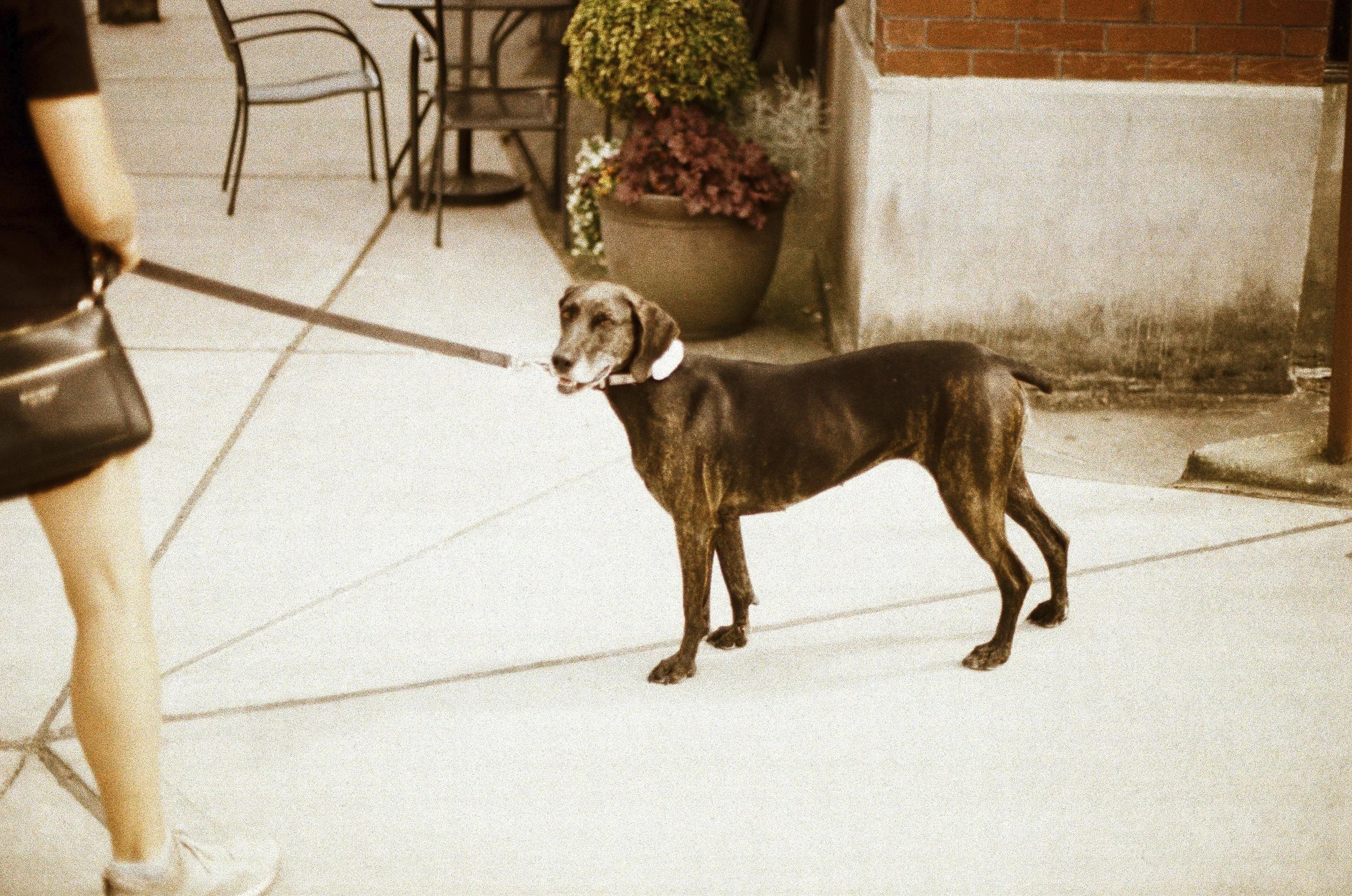 Expired Fuji 100 (shot at 25) pushed 1 stop