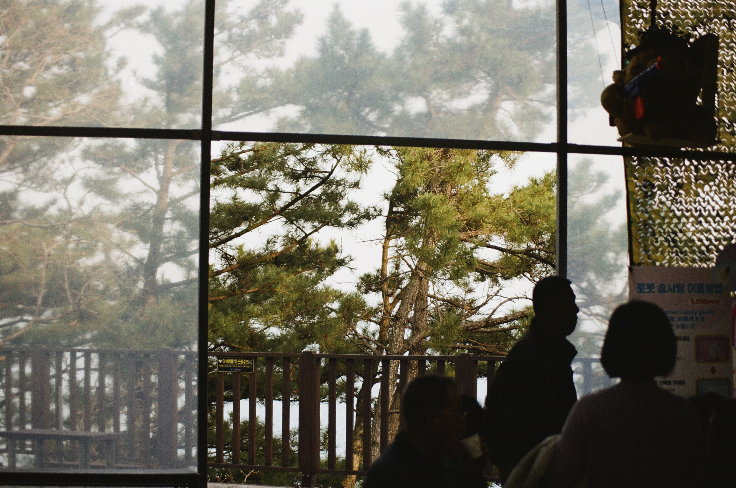 busan cable cars daytime-47.png