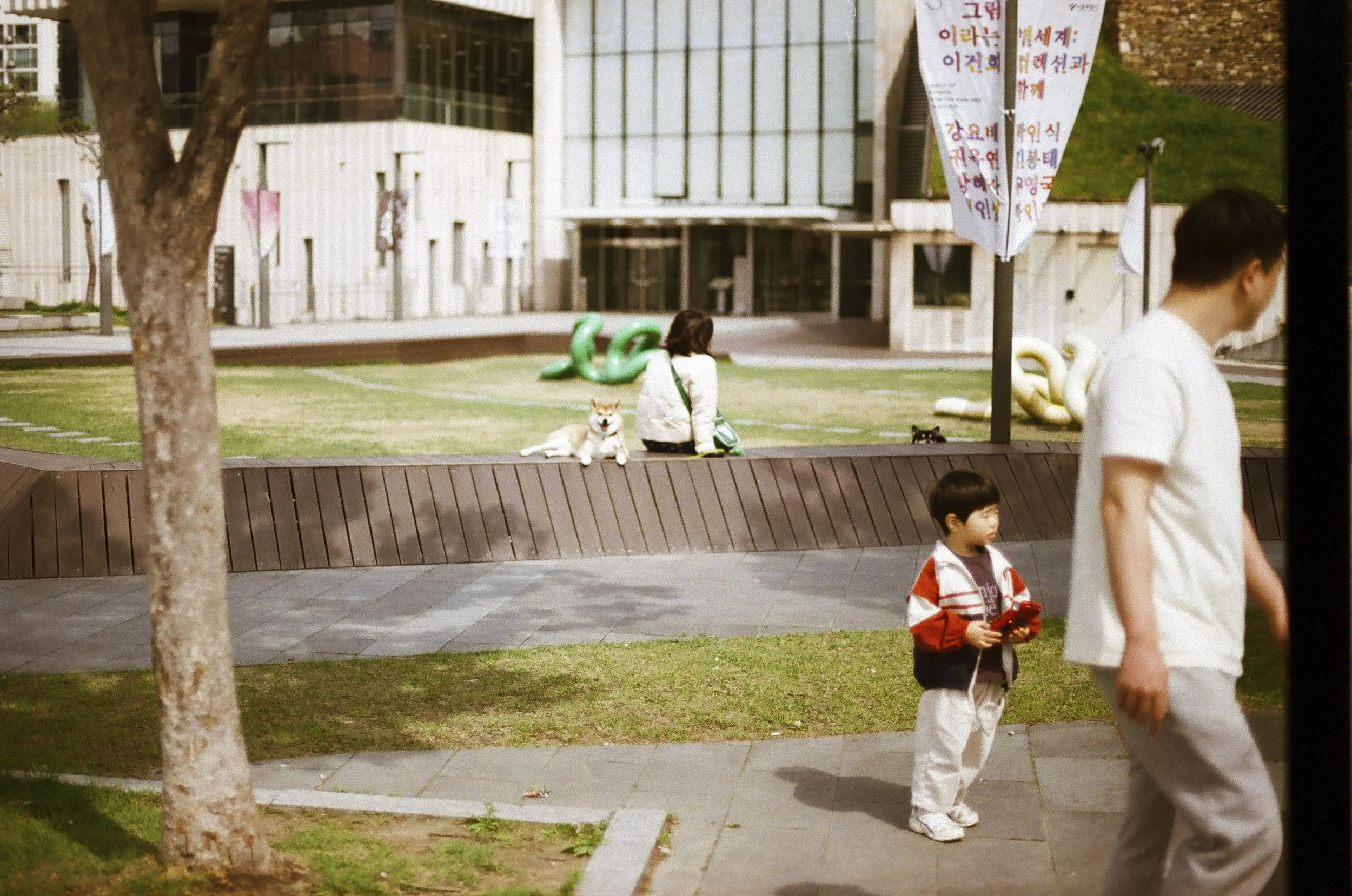 Expired Fuji 100 (shot at 25)